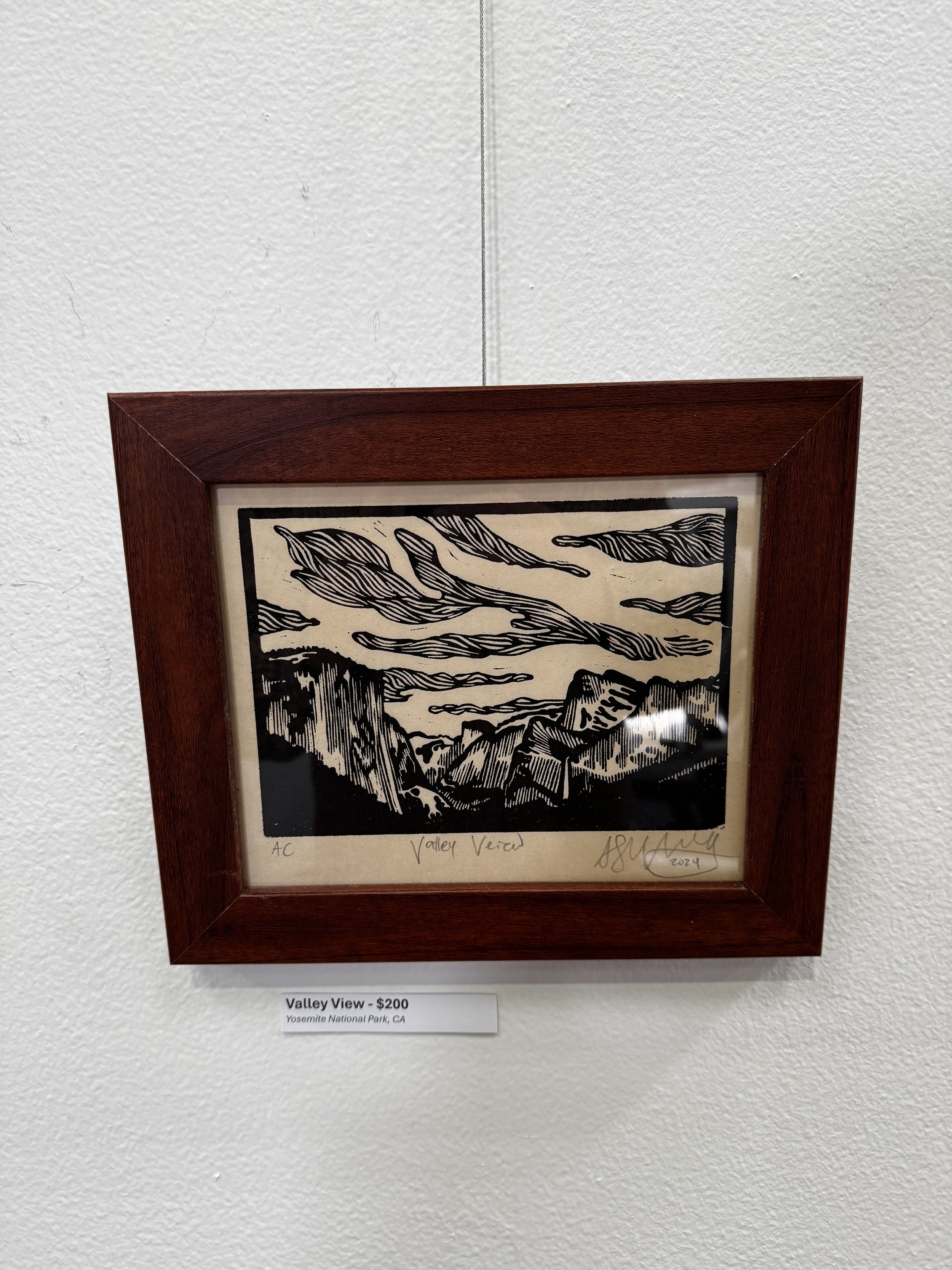 Valley View - framed