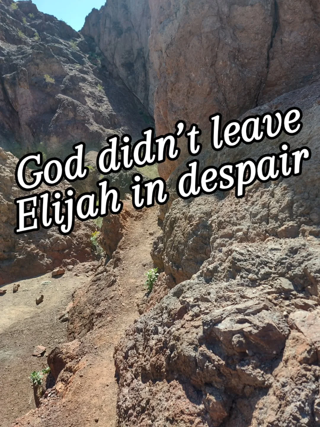 God didn&rsquo;t leave Elijah in the cave.  He provided:
1-  Strength (food)
2-  Rest
3- Space to express what he was feeling and his thoughts 
4- Community 
5- God's plan 

Sometimes when we're dealing with a "caveful of emotions and thoughts&q