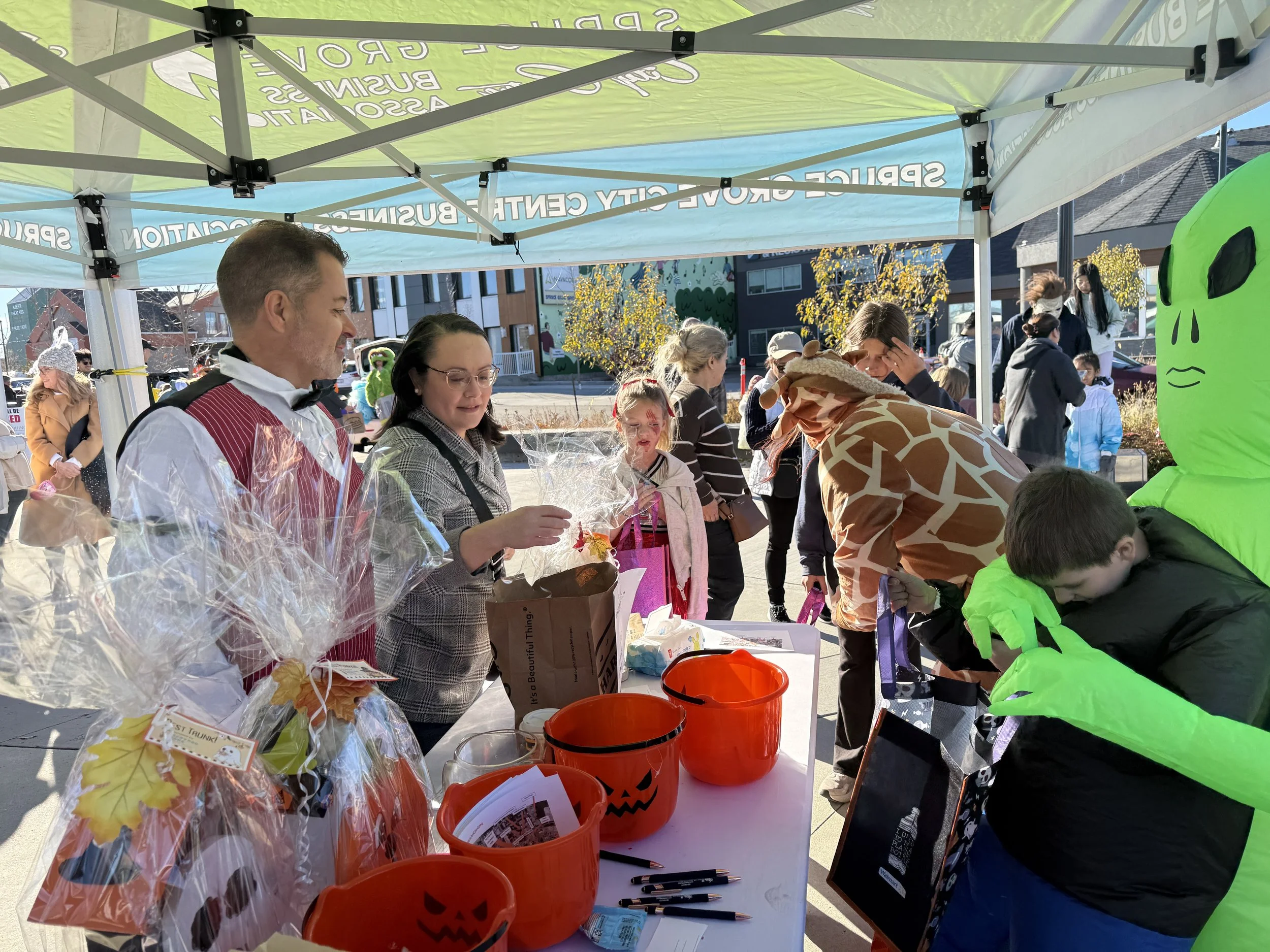 New Year &amp; Seasonal Highlights!