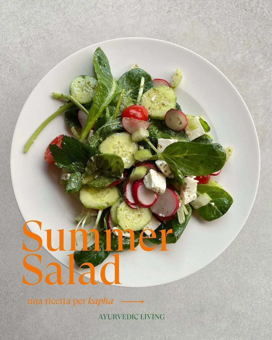 Le insalate, come tutti i cibi crudi, sono da preferire a pranzo piuttosto che a cena poich&egrave; sono pi&ugrave; difficili per il corpo da digerire (soprattutto se si ha una digestione lenta). In estate sono una scelta ideale perch&egrave; aiutano