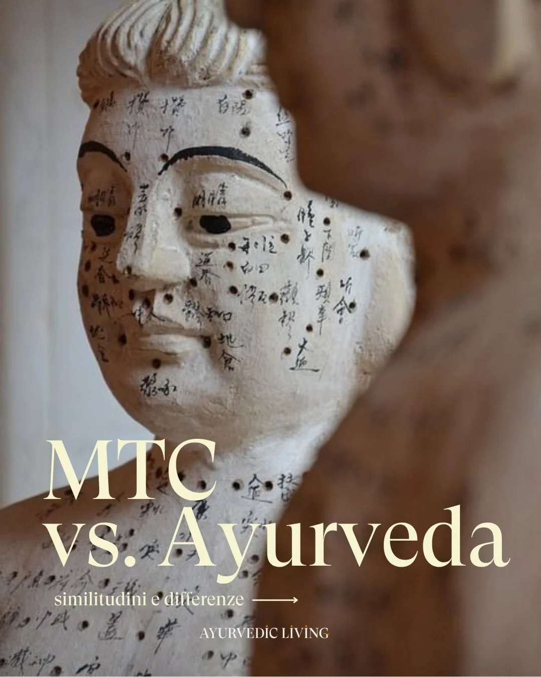🌿 Ayurveda e MTC:

Due medicine antichissime.
Due continenti.
Due linguaggi differenti.

Eppure&hellip; una stessa intuizione profonda:
la salute &egrave; equilibrio.

L&rsquo;Ayurveda parla di Dosha (Vata, Pitta, Kapha).
La MTC parla di Qi e  Yin e