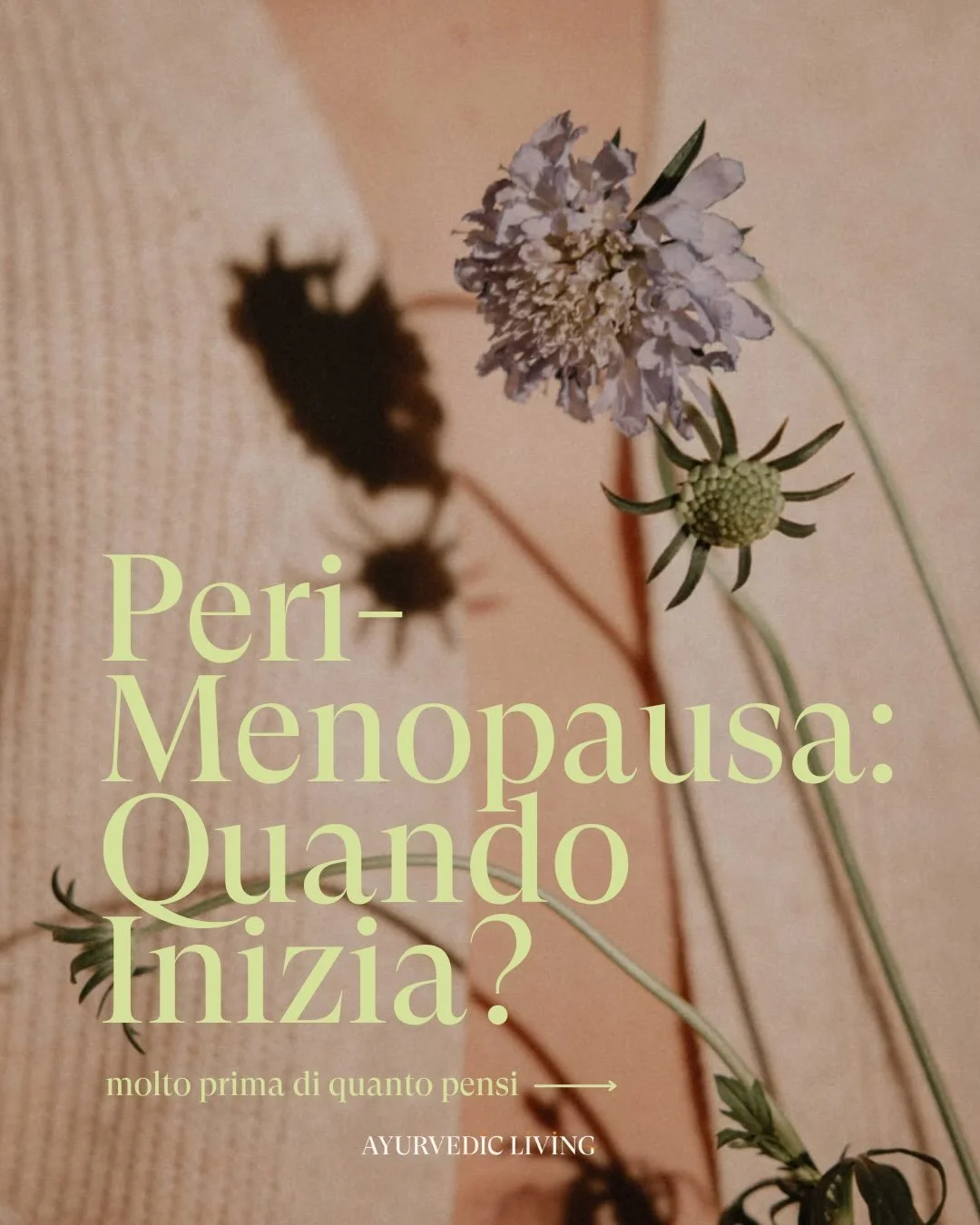 Molte donne aspettano le &ldquo;vampate di calore&rdquo; per capire che qualcosa sta cambiando. Ma a quel punto, la perimenopausa potrebbe essere gi&agrave; iniziata da anni.

I primi segnali, infatti, possono essere spesso cognitivi ed emotivi.

Con
