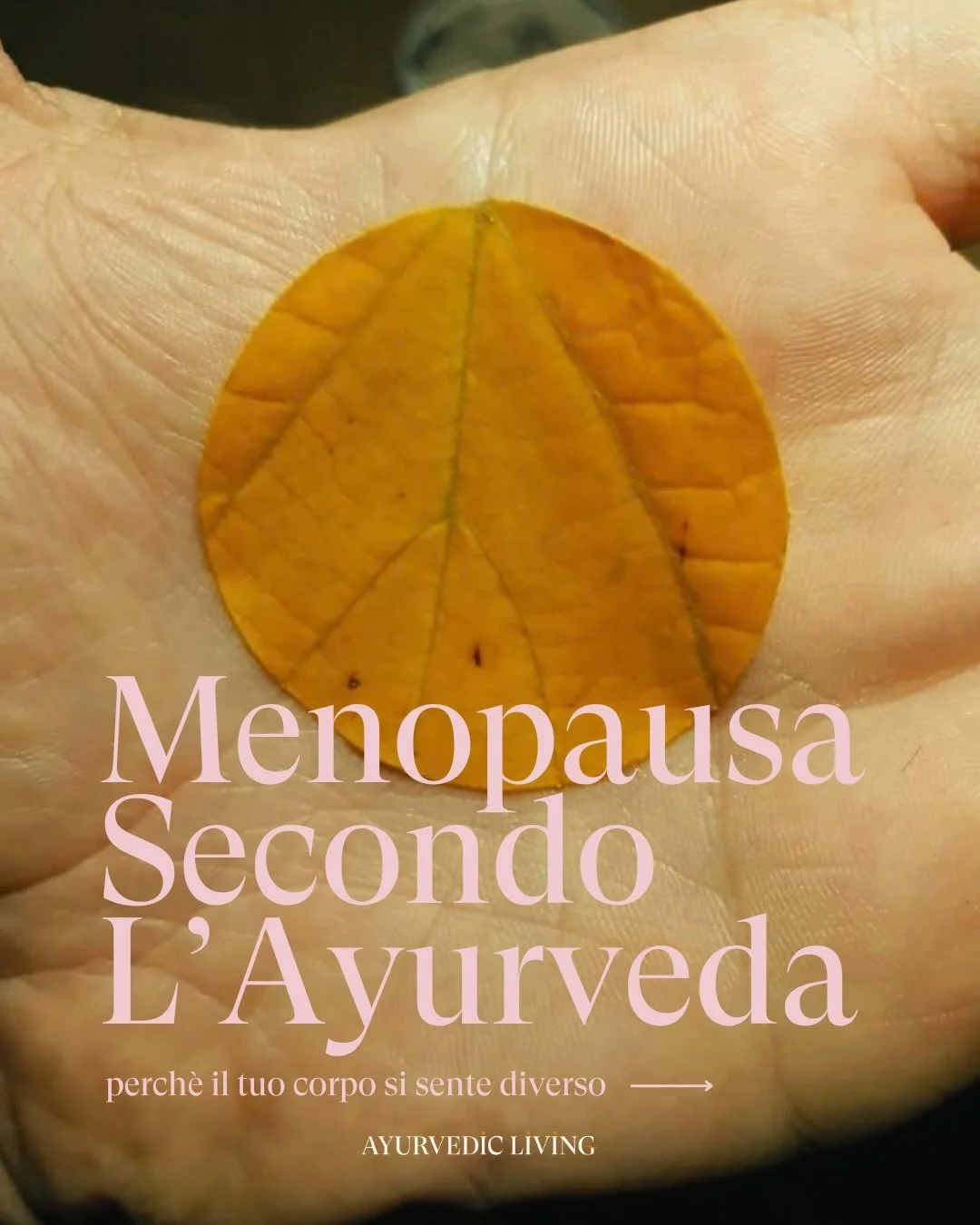 La menopausa non &egrave; una fine. &Egrave; una nuova fase di te. 

L&rsquo;Ayurveda ci insegna ad ascoltare il corpo, adattare i nostri ritmi e sostenere il cambiamento, invece di combatterlo.

✨ Vuoi capire come accompagnare il tuo corpo in questa