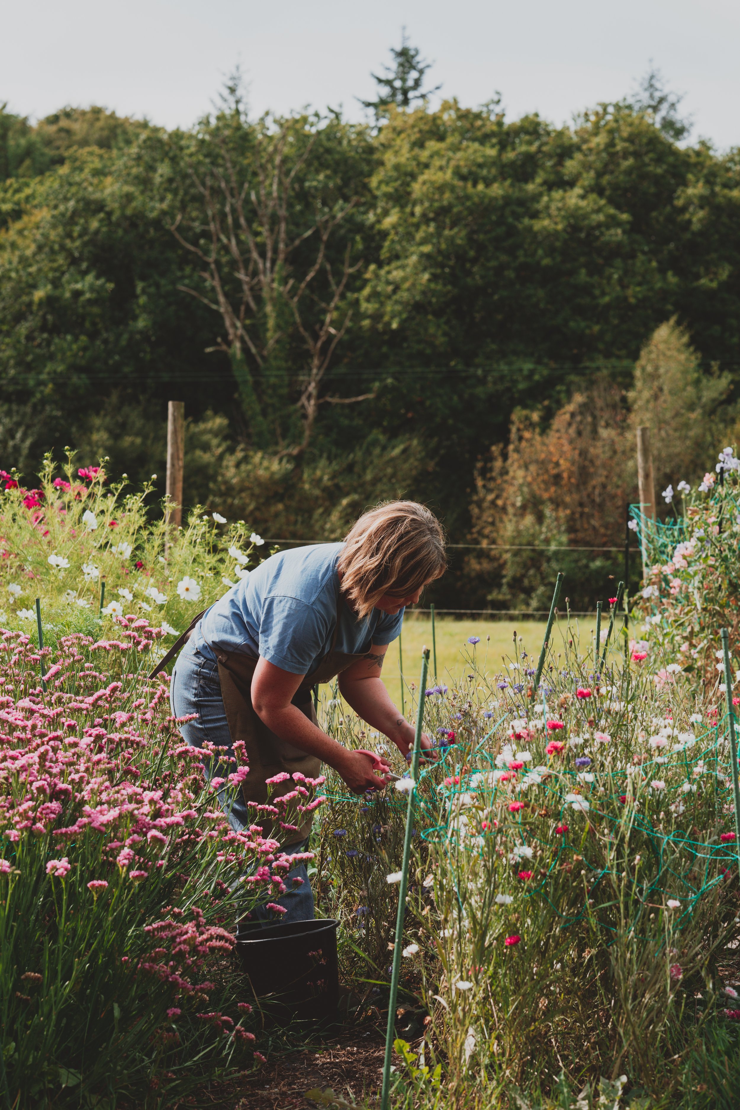 Pick & Arrange flowers @ the farm