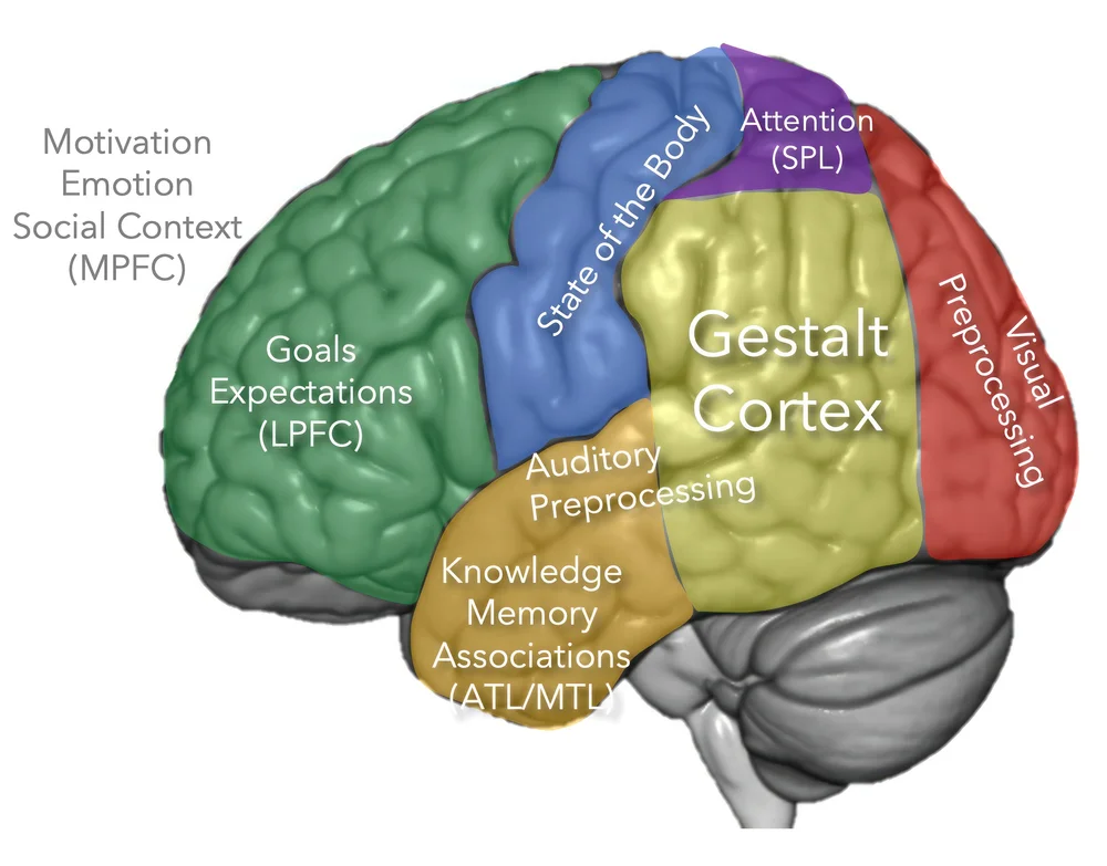 Research — UCLA SCN Lab