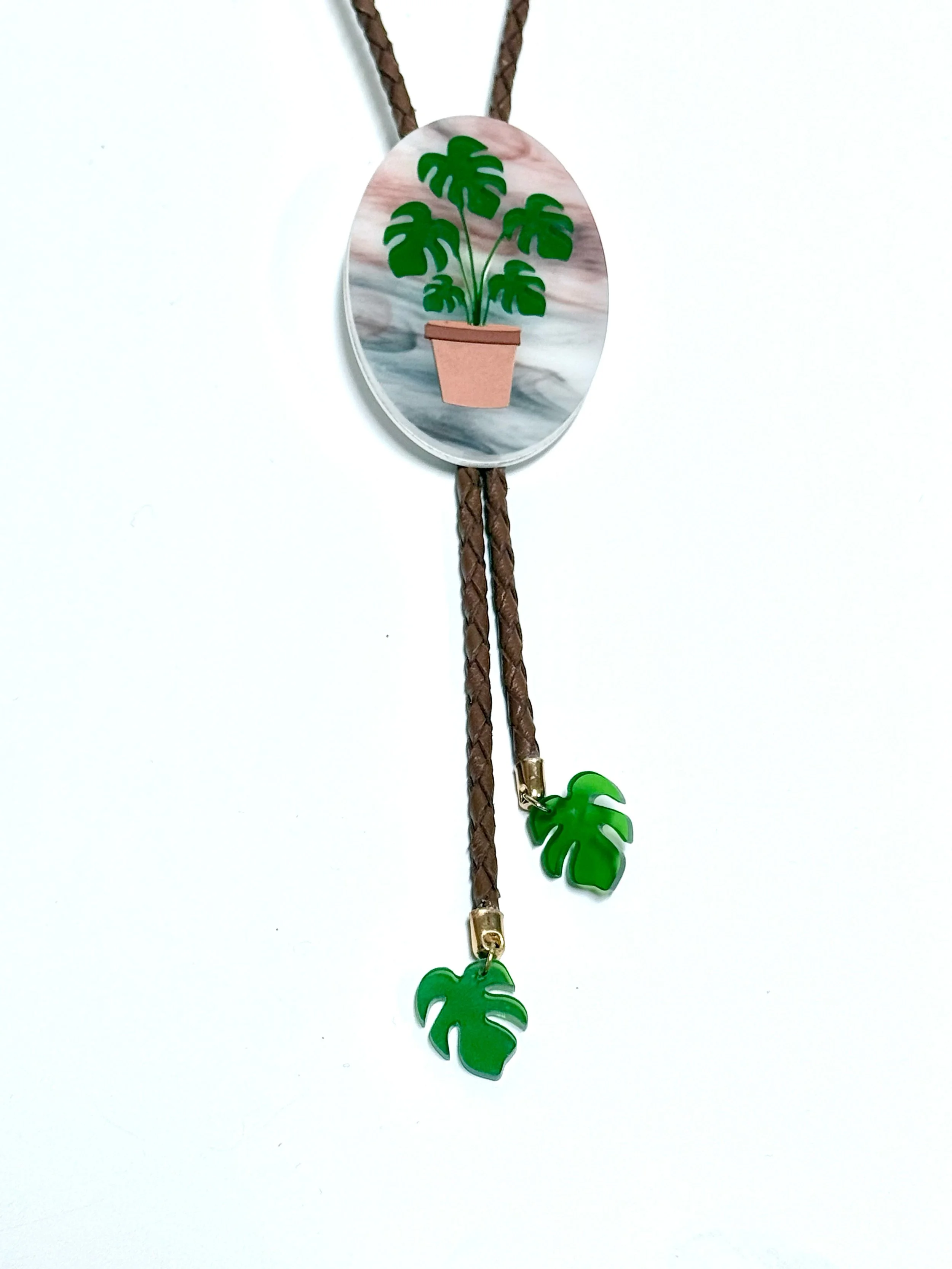 Potted Monstera.jpg
