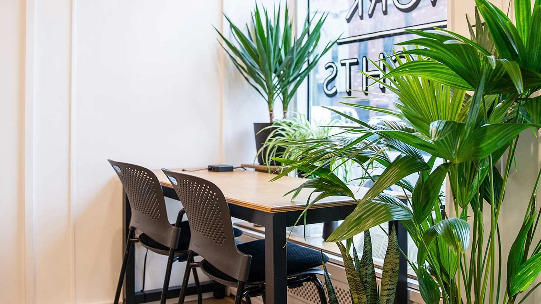 Beautiful coworking space in Brooklyn
