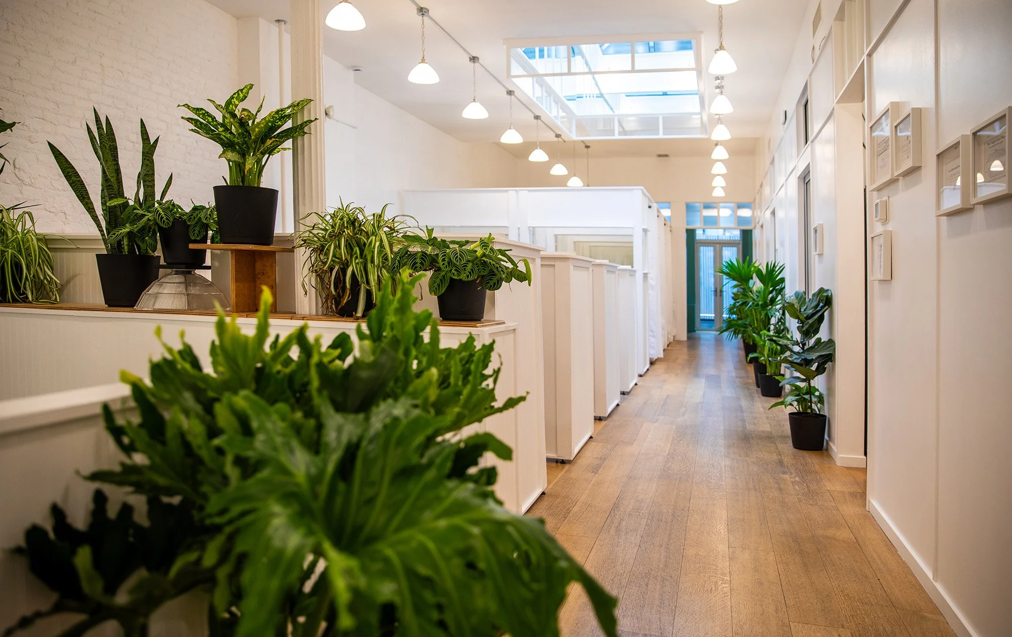 Beautiful coworking space in Brookyln