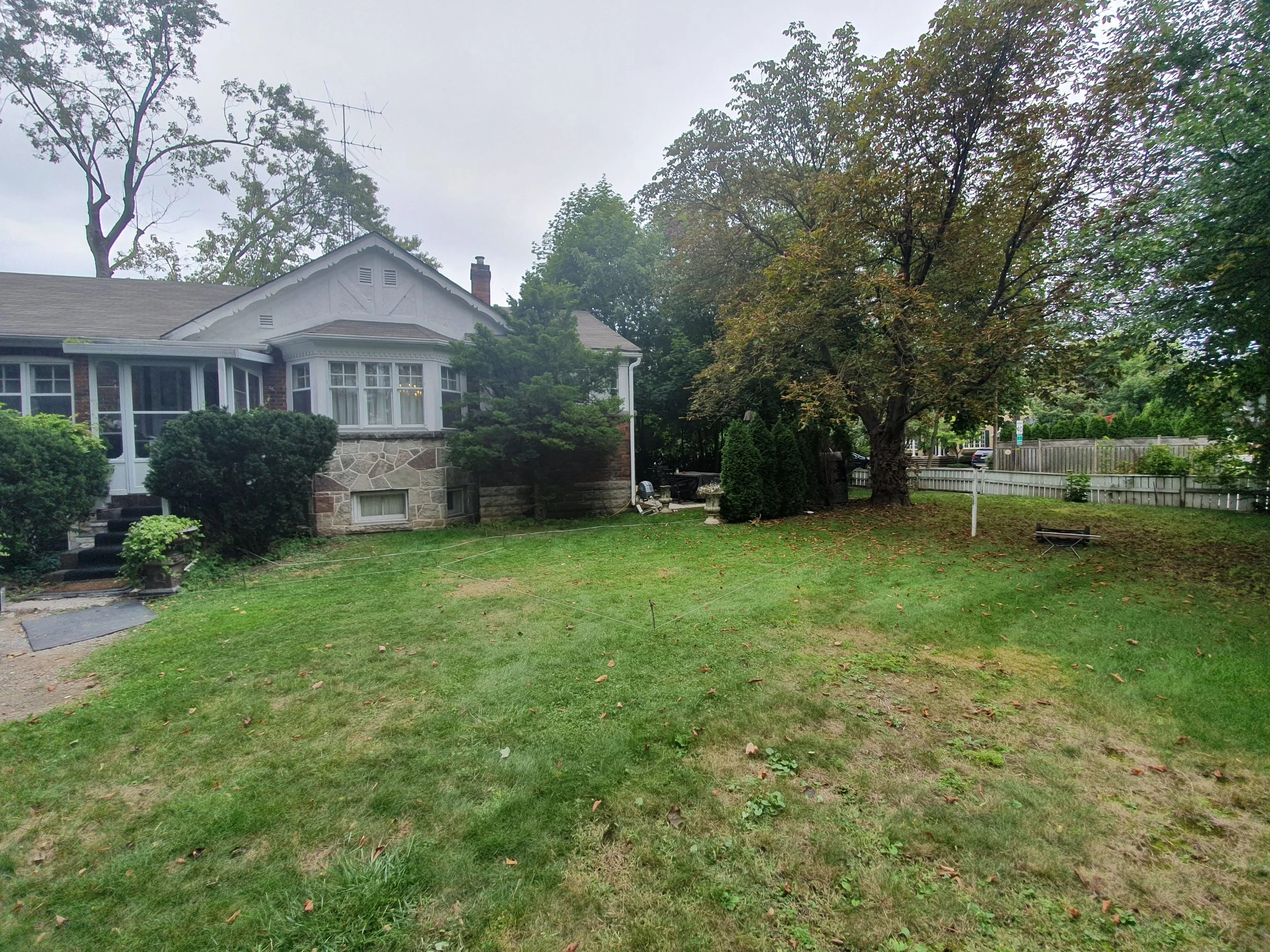 A backyard scene with a grassy lawn, a large tree with green and brown leaves, a white house with windows and a brick chimney, and a wooden fence in the background under a cloudy sky.