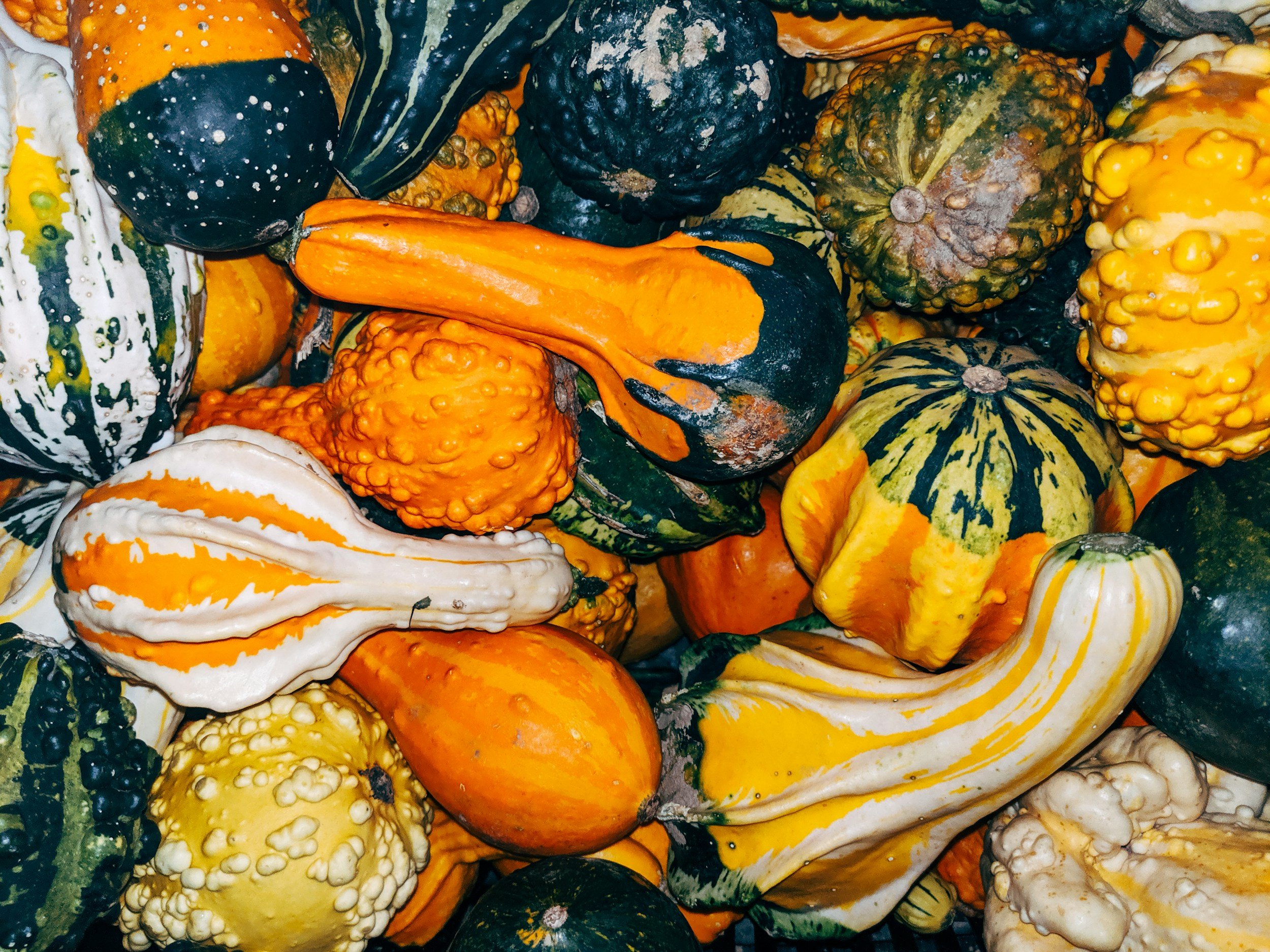 Native Harvest