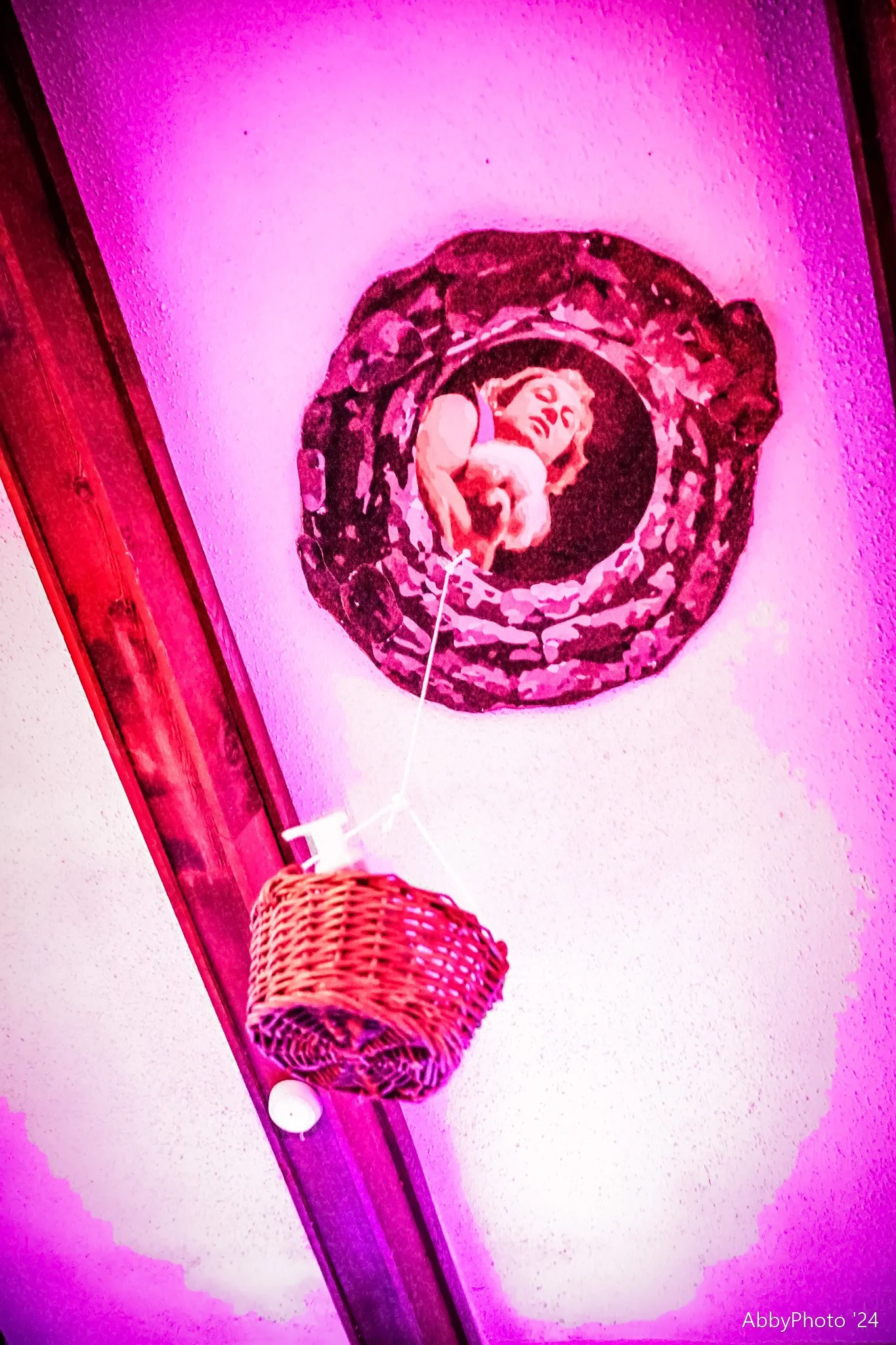 Angove Halloween 213.jpg