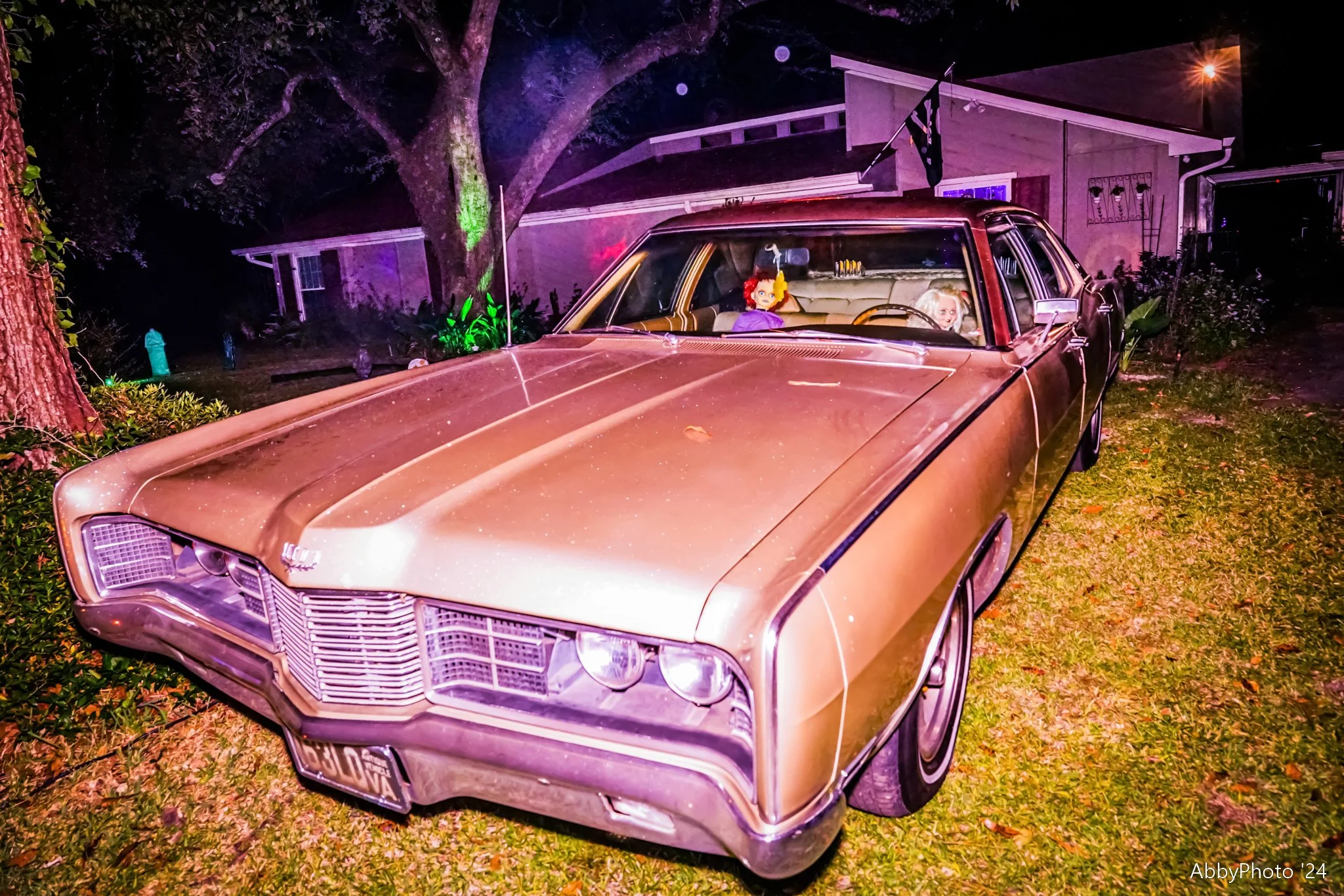 Angove Halloween 008.jpg