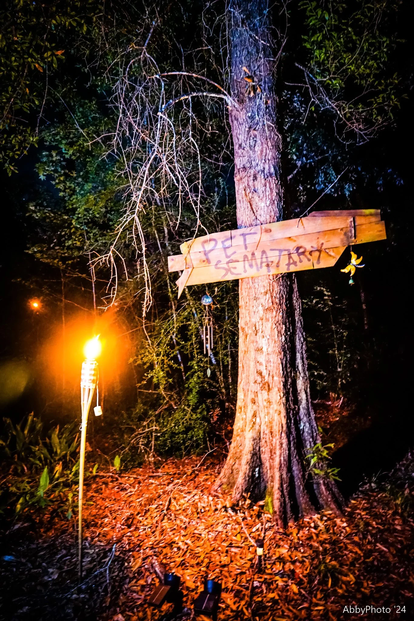 Angove Halloween 111.jpg