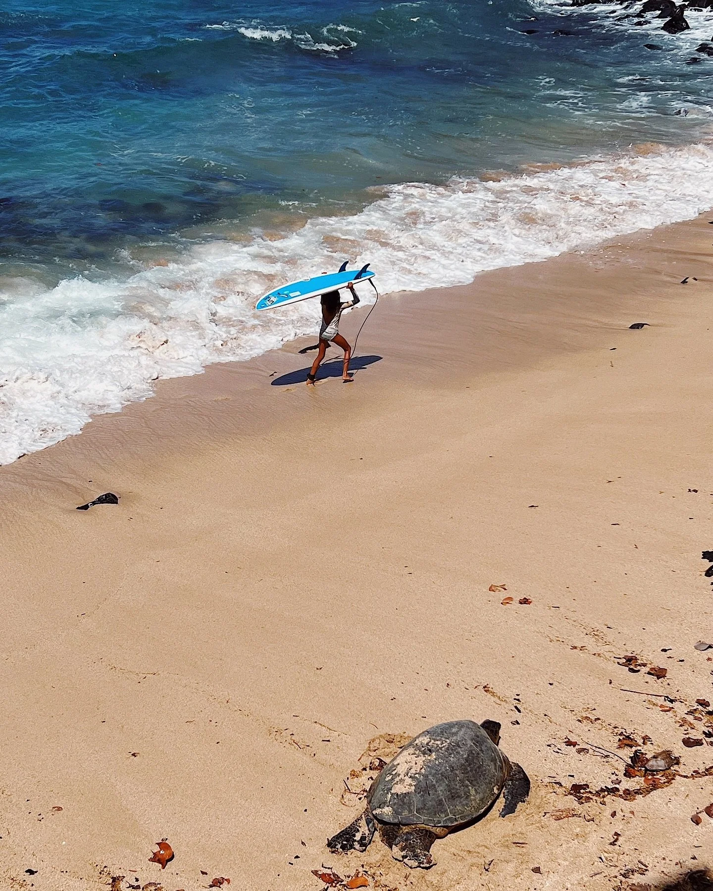 Flip the switch to vacation mode.