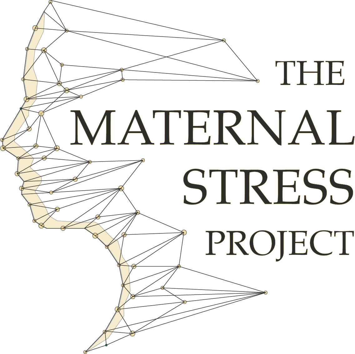 The Maternal Stress Project