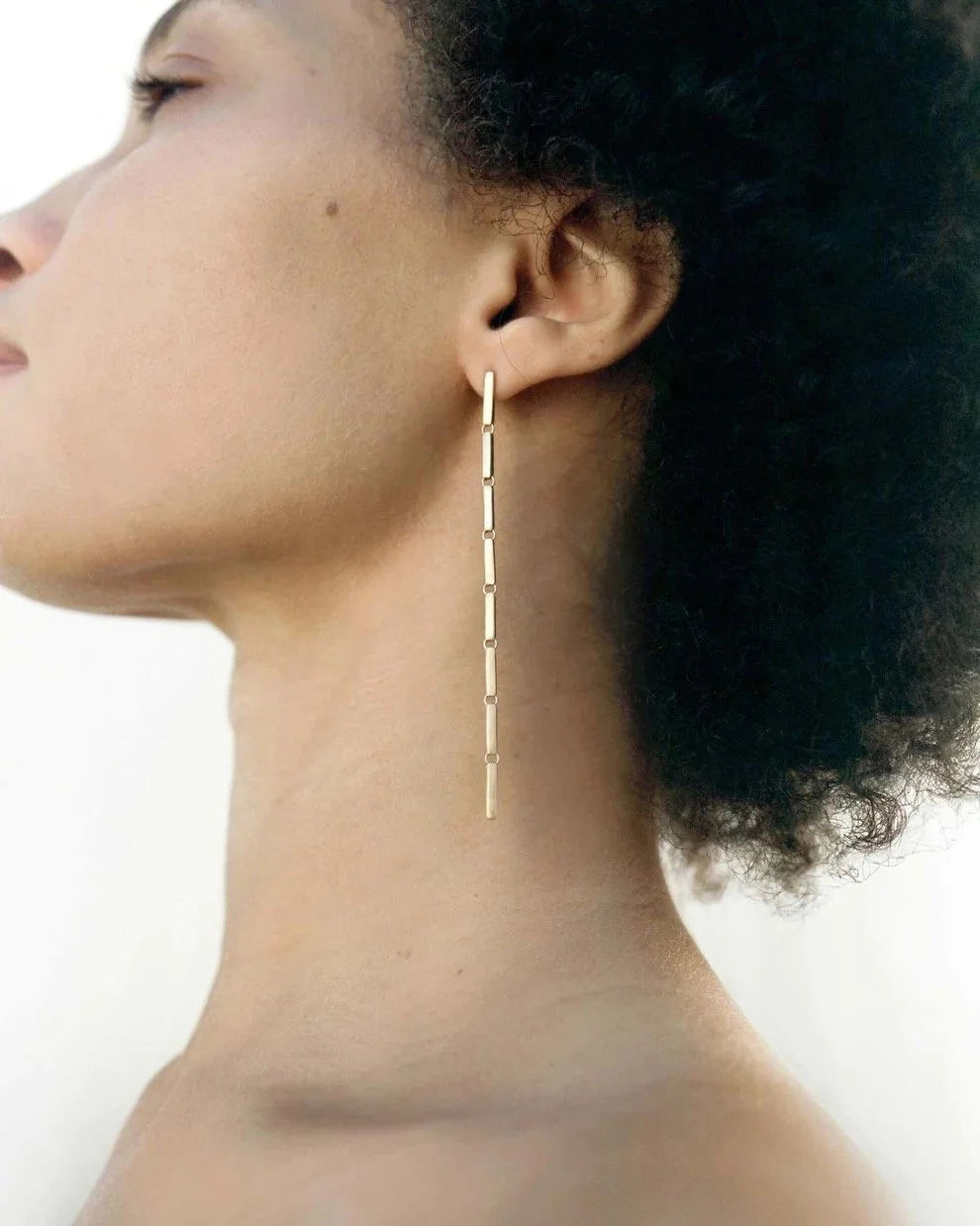 Estate Chain Earrings