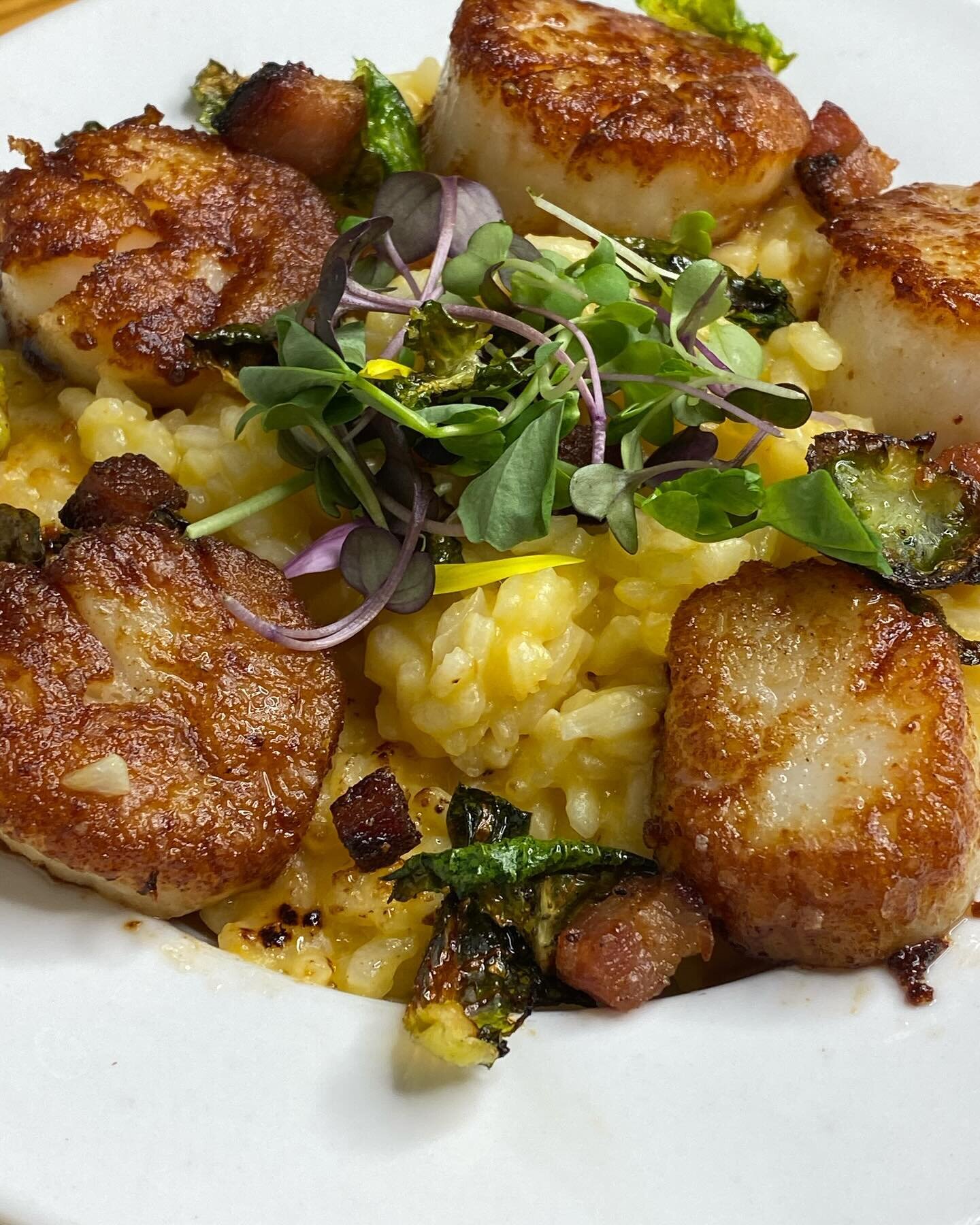 Seared scallops with winter risotto, lardons crispy Brussels and micro greens