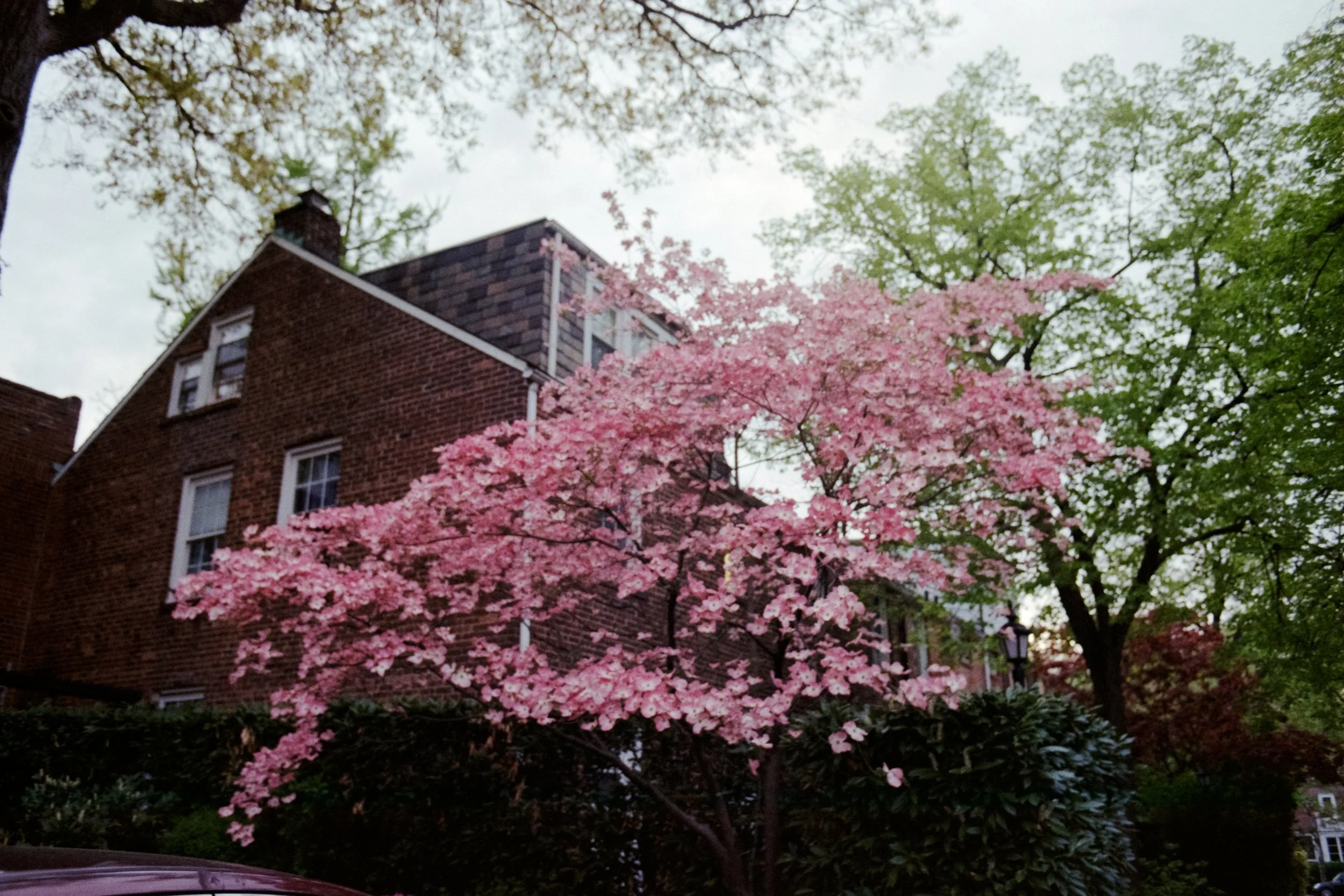 image-09.jpg