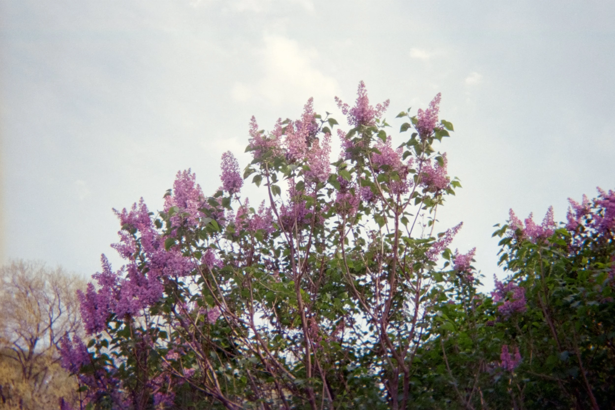 image-17.jpg