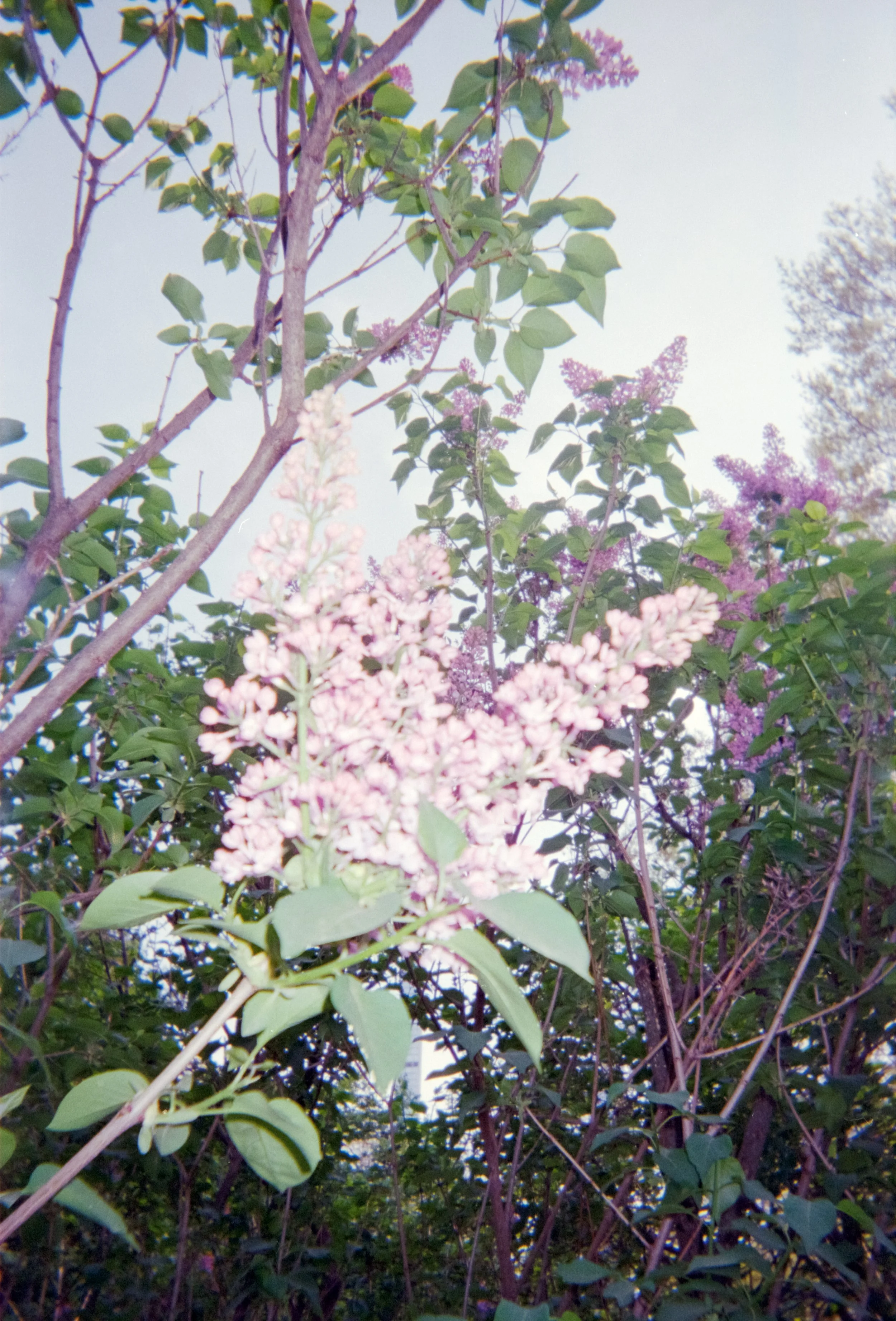 image-16.jpg