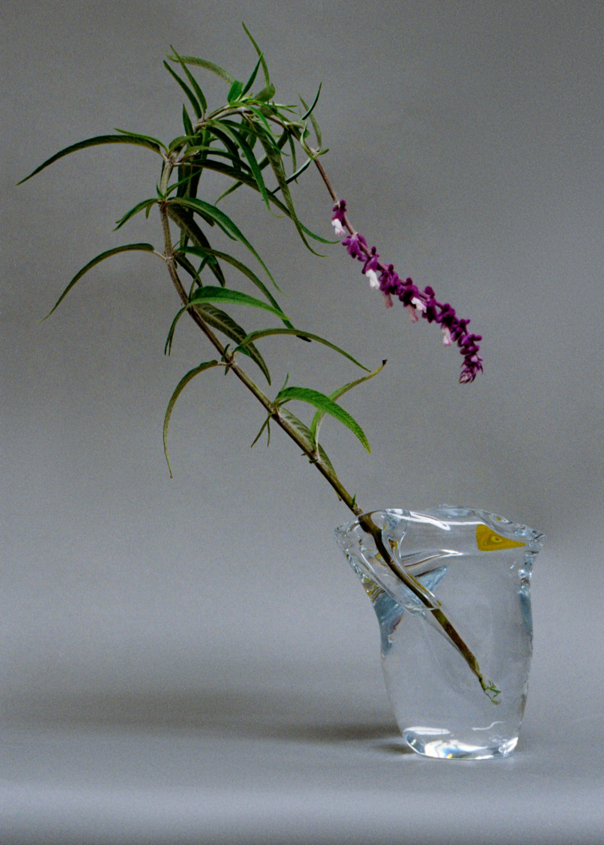 image-WEB-236.jpg