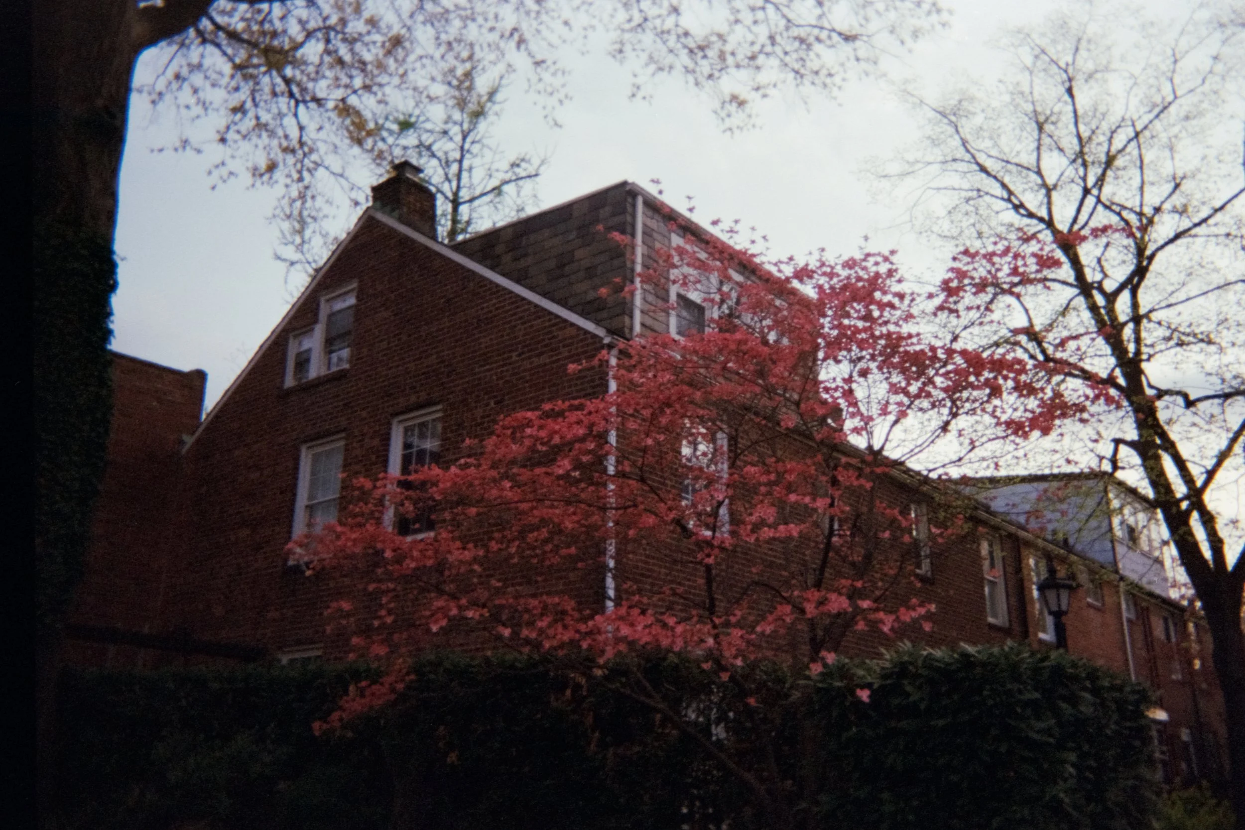 image-14.jpg