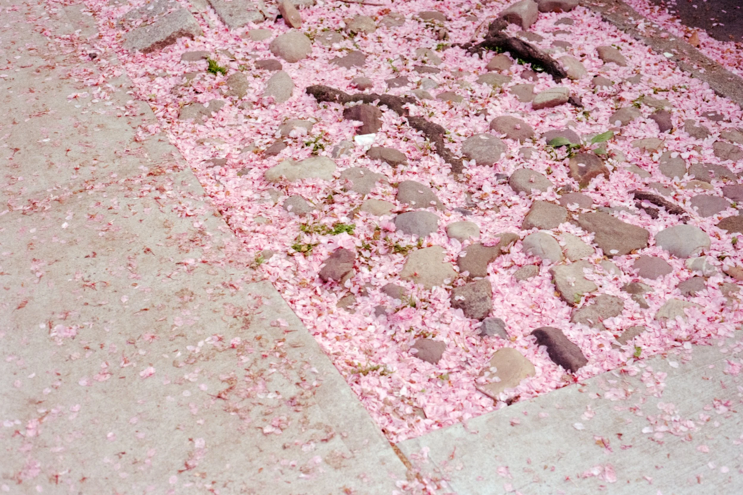 image-10.jpg