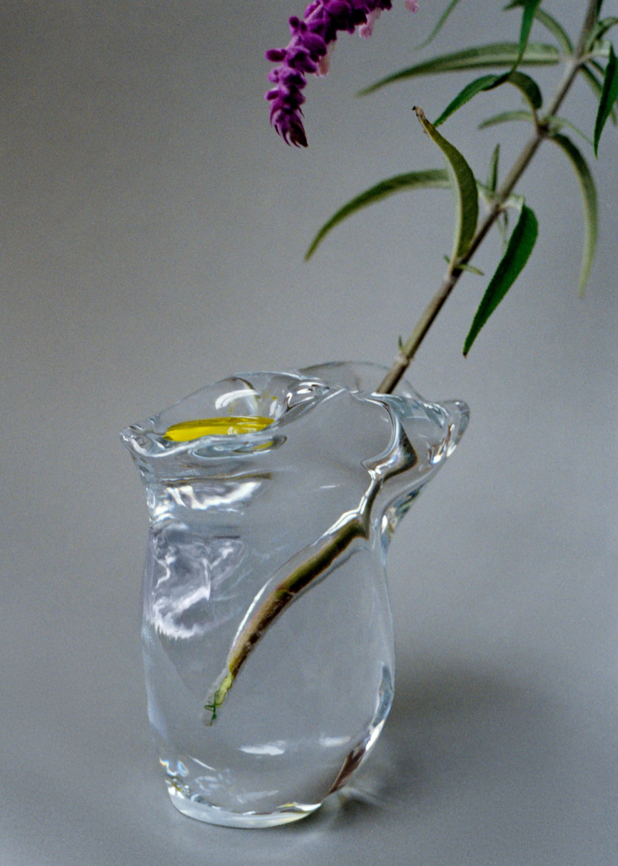 image-WEB-235.jpg