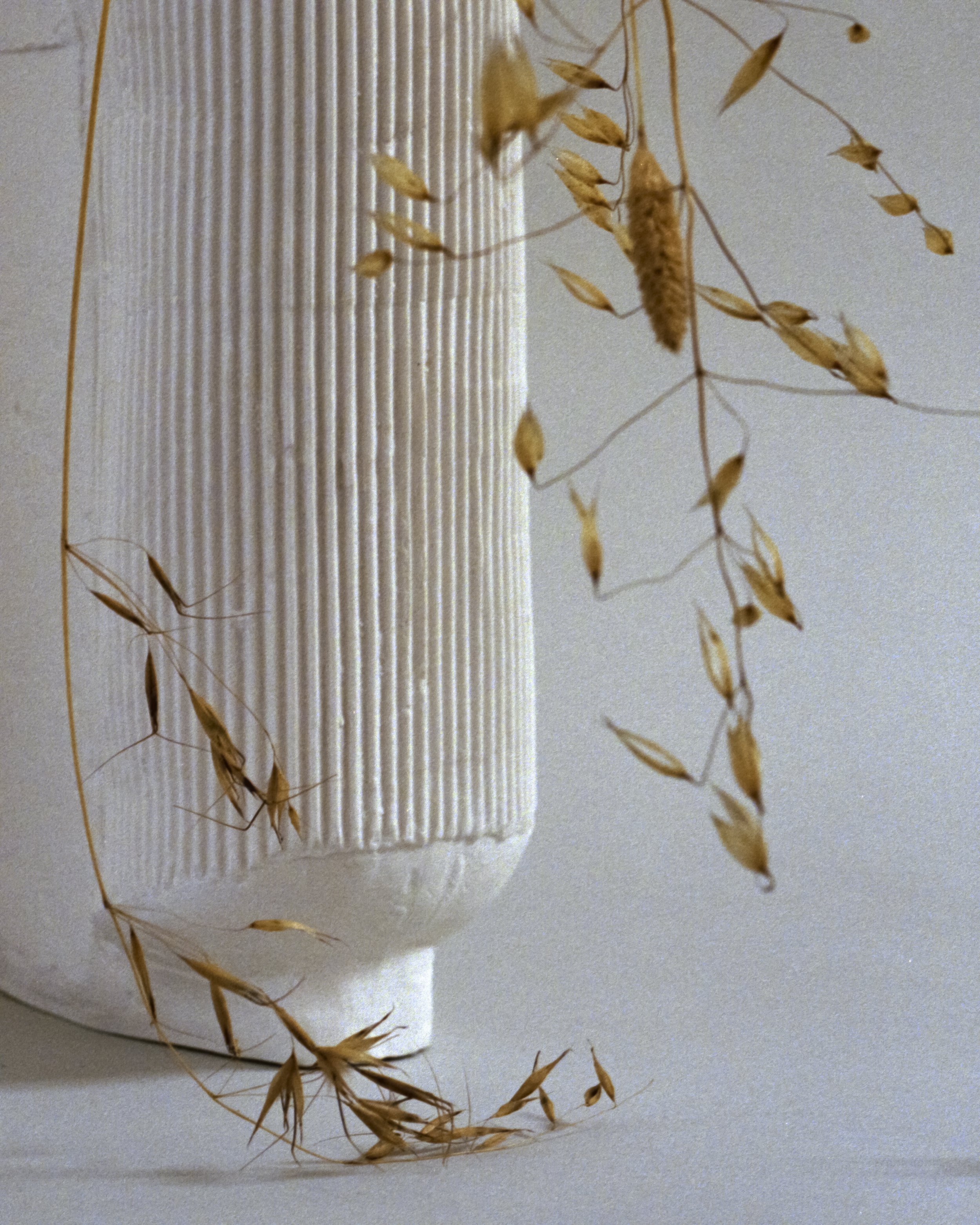 atrio-studio-film-441.jpg