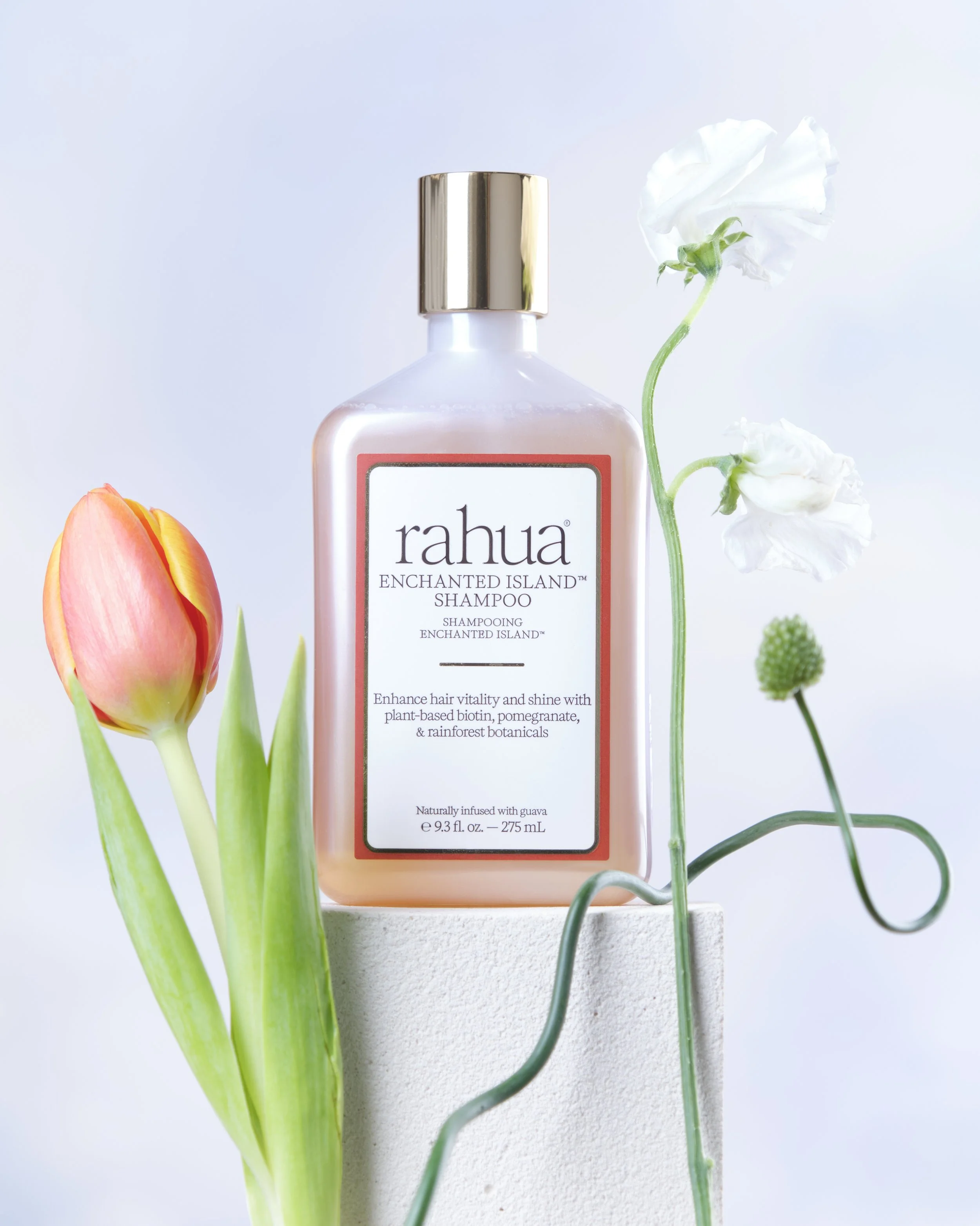 Untitled Capture2000.jpg