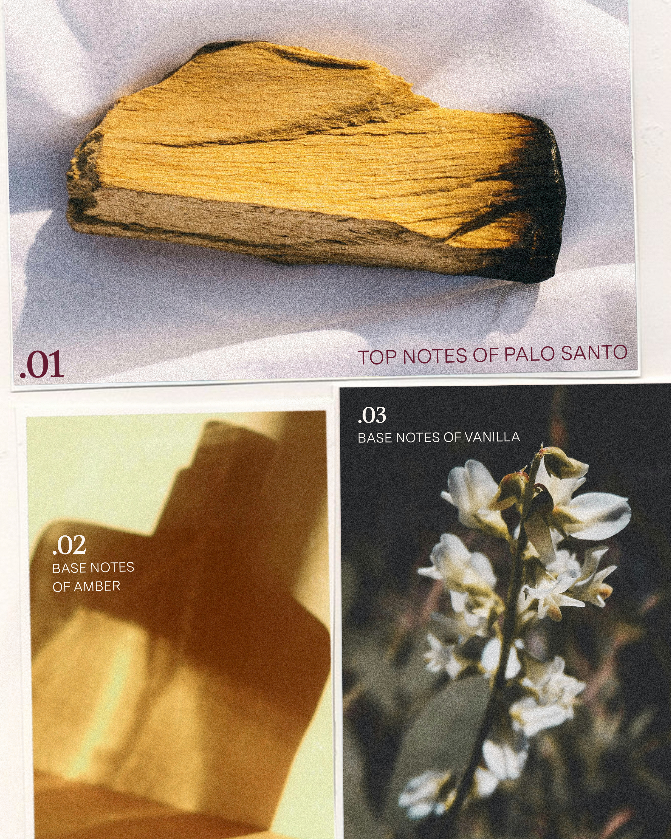 classic scent story - slide 4.png