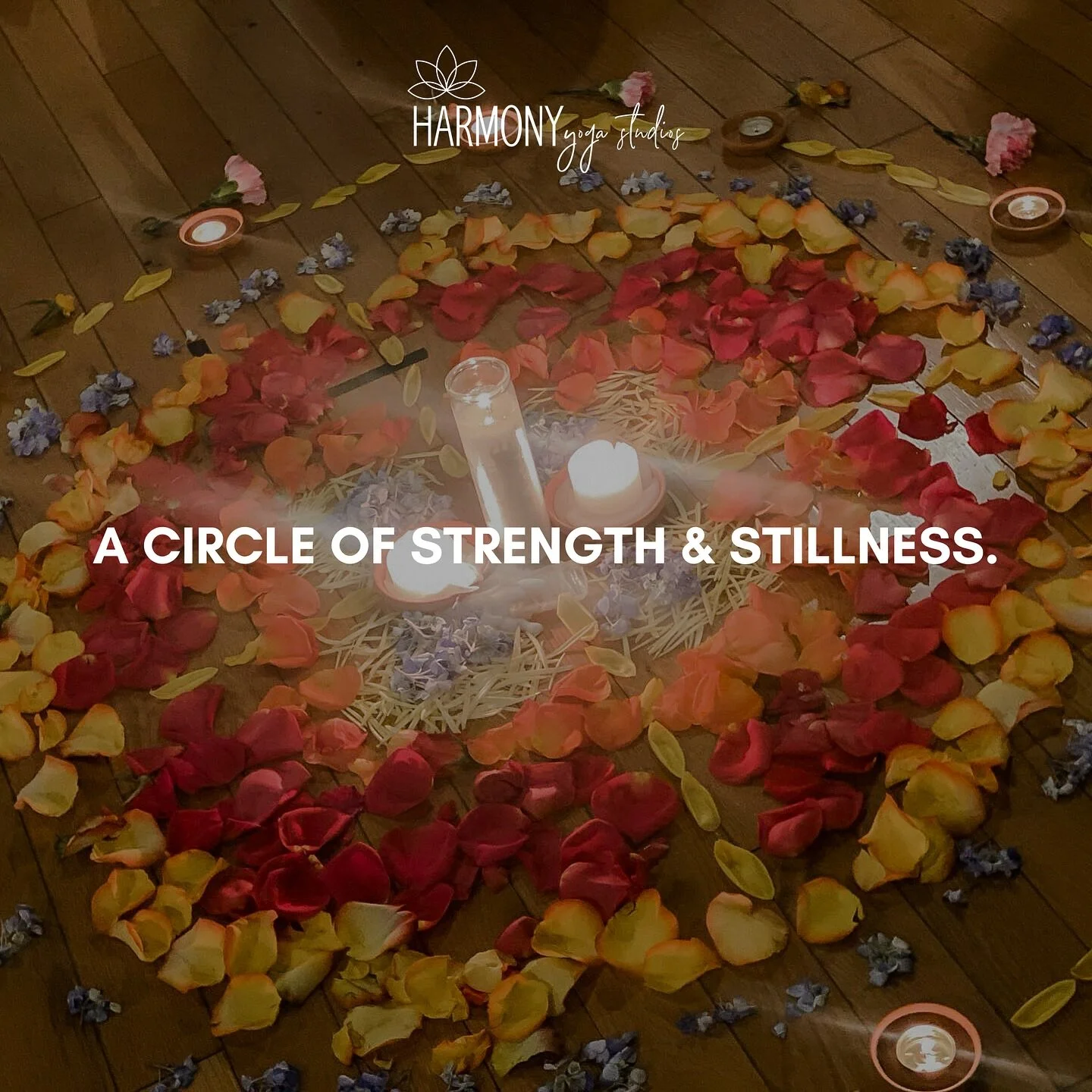 Harmony Healing Women&rsquo;s Circle ✨
A cozy, heart-centered afternoon of tea, sharing, and sisterhood. 💫 Take 90 minutes to slow down, breathe, and reconnect &mdash; with yourself and with other women in our community. Expect reflection, gentle gu