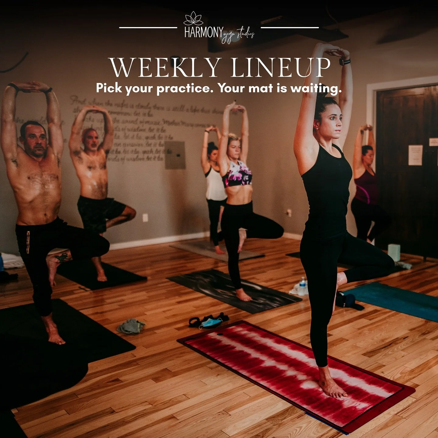 Big week at Harmony. Pink out the room Thursday. Costumes on Friday. Women&rsquo;s Circle and special pop-ups Saturday. Self-care and Kundalini on Sunday. So many chances to show up, have fun, and feel good with your people. 💕🎃✨
Book using the link