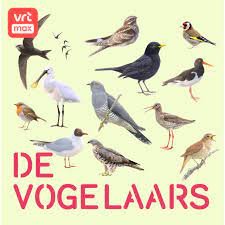 De Vogelaars