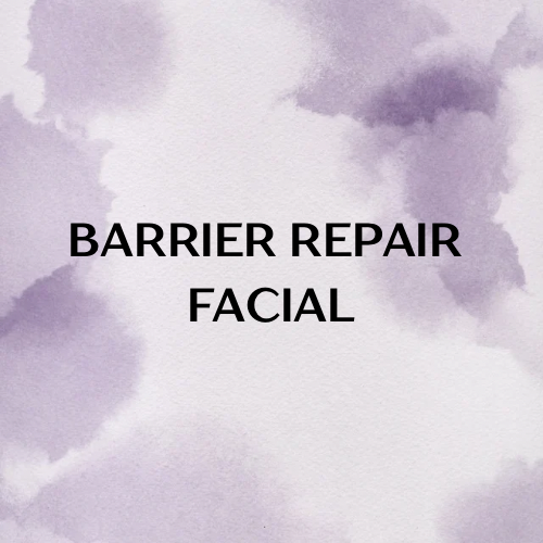 THE SKIN RESET FACIAL - 5.png