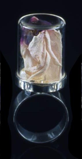 herbariumCyclamenSMALL.jpg