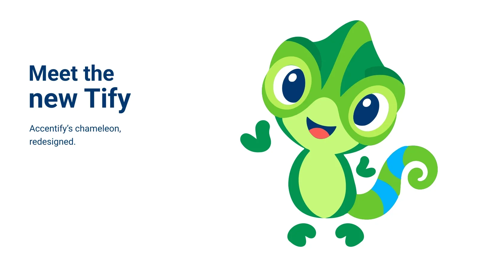 Meet the new Tify: how we redesigned Accentify’s chameleon