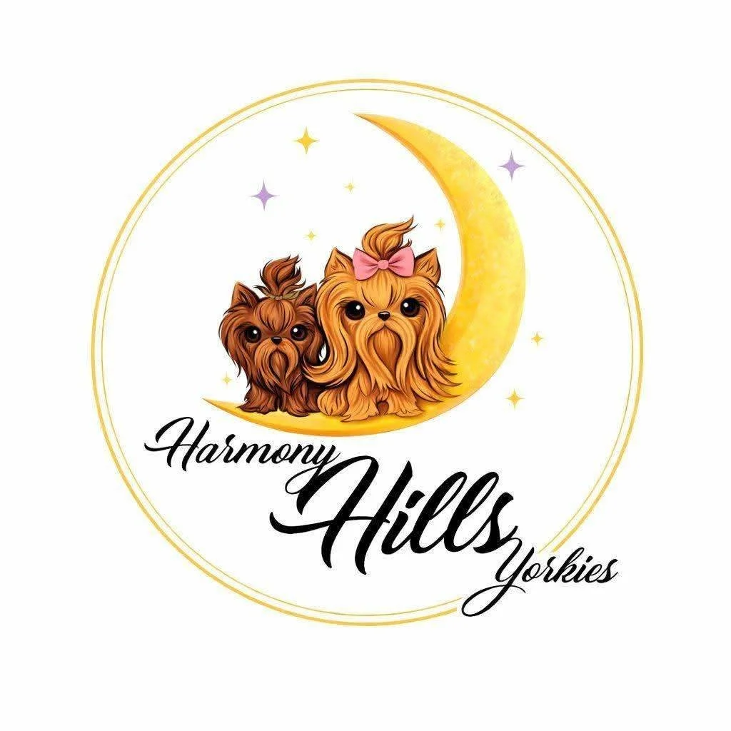 Harmony Hills Yorkies