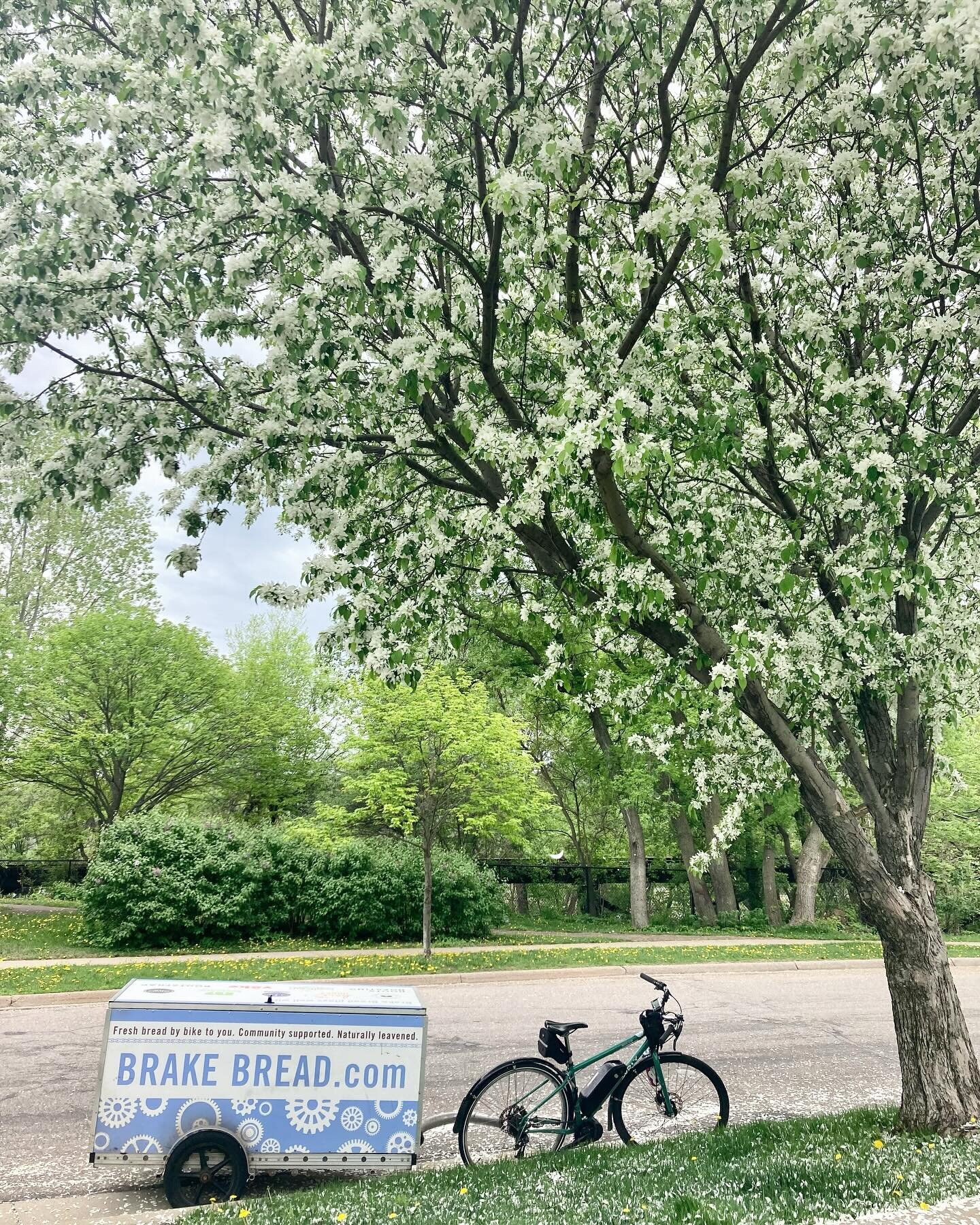 We&rsquo;re proud of our year-round bike delivery&hellip;&hellip;. but on this cold first week of spring, that sure doesn&rsquo;t stop us from daydreaming of the 🌷🌷warm weather, blossoms, and green 🌷🌷 coming soon!