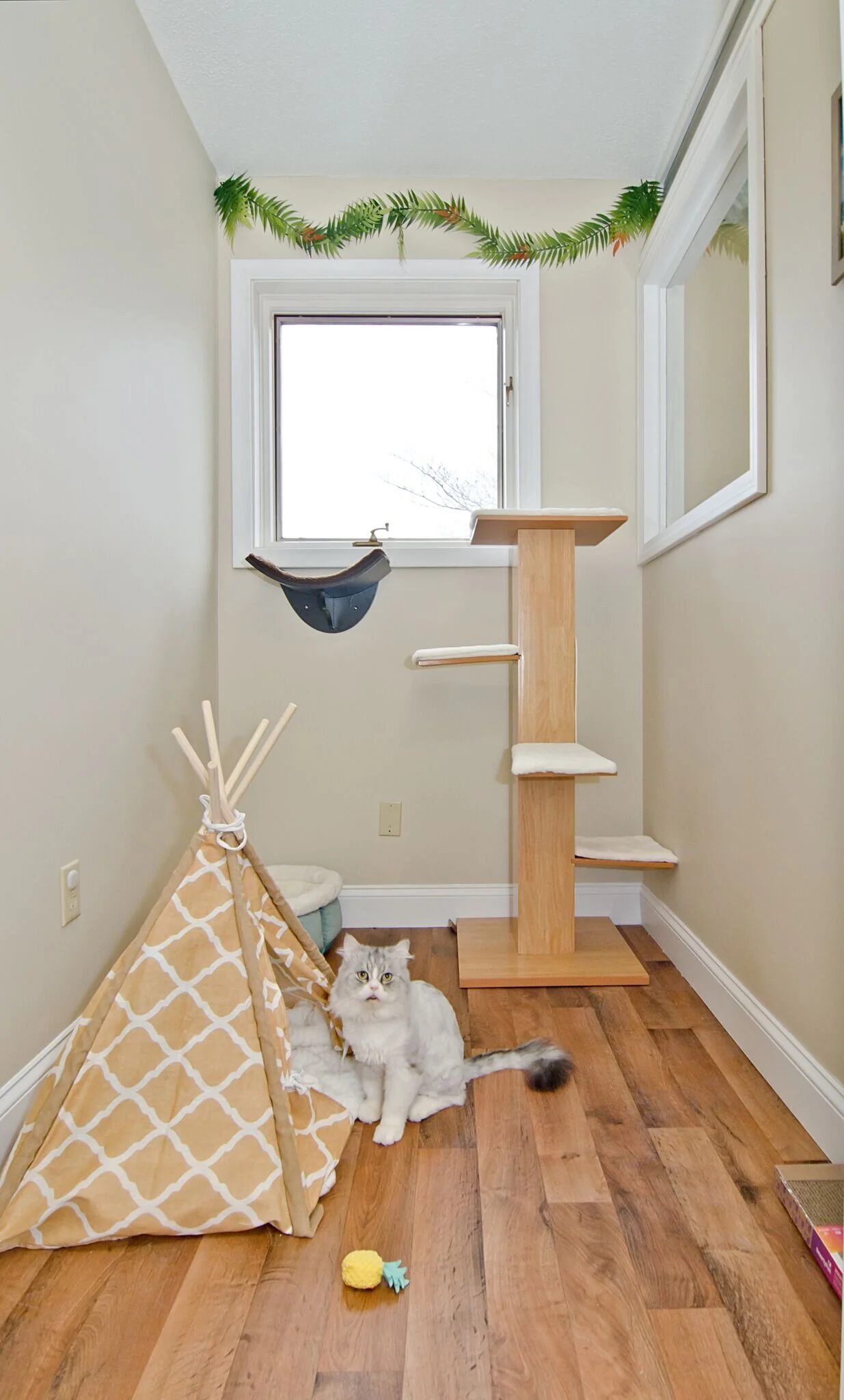 Bora Bora cat boarding suite at Cat hotel Avon CT