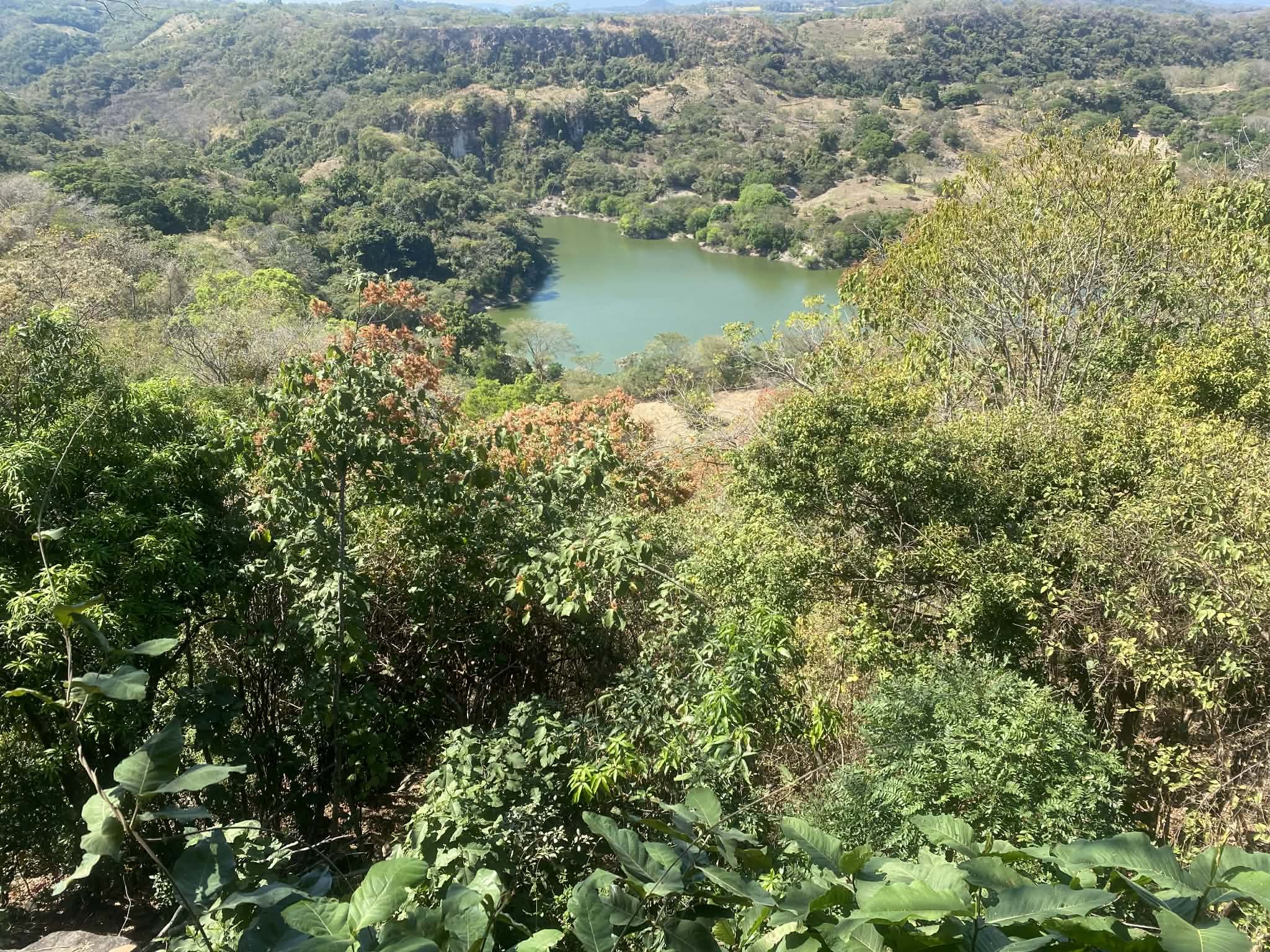 environmental memory 1.jpg