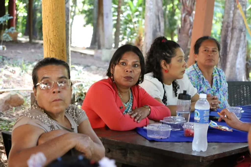 WhatsApp Image 2025-11-06 at 3.49.23 PM.jpeg