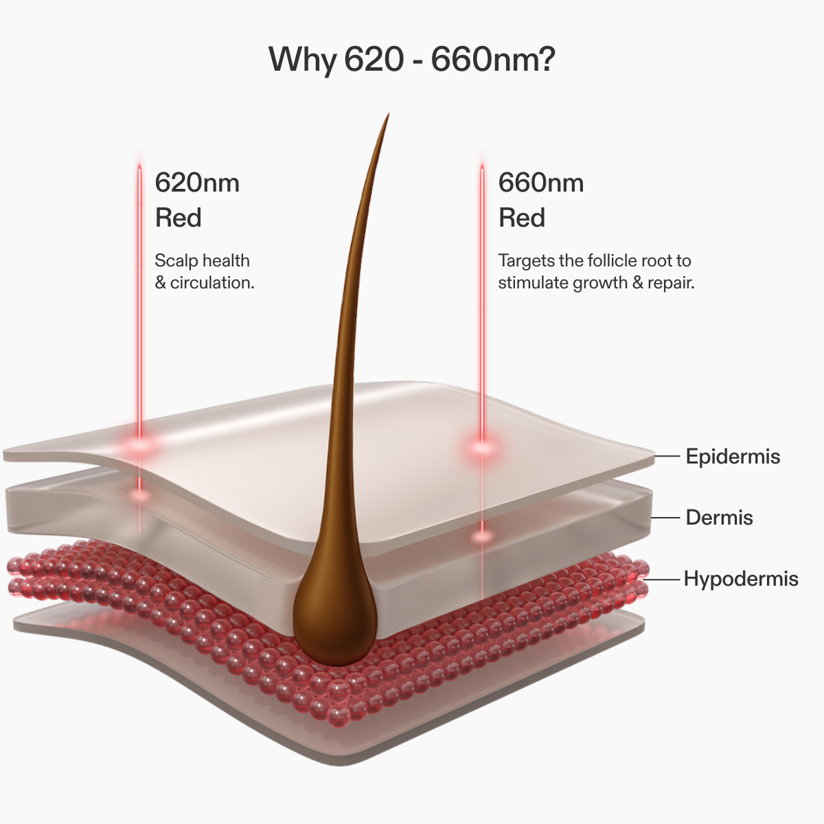 620nm - 660nm inforgraphic (1).png
