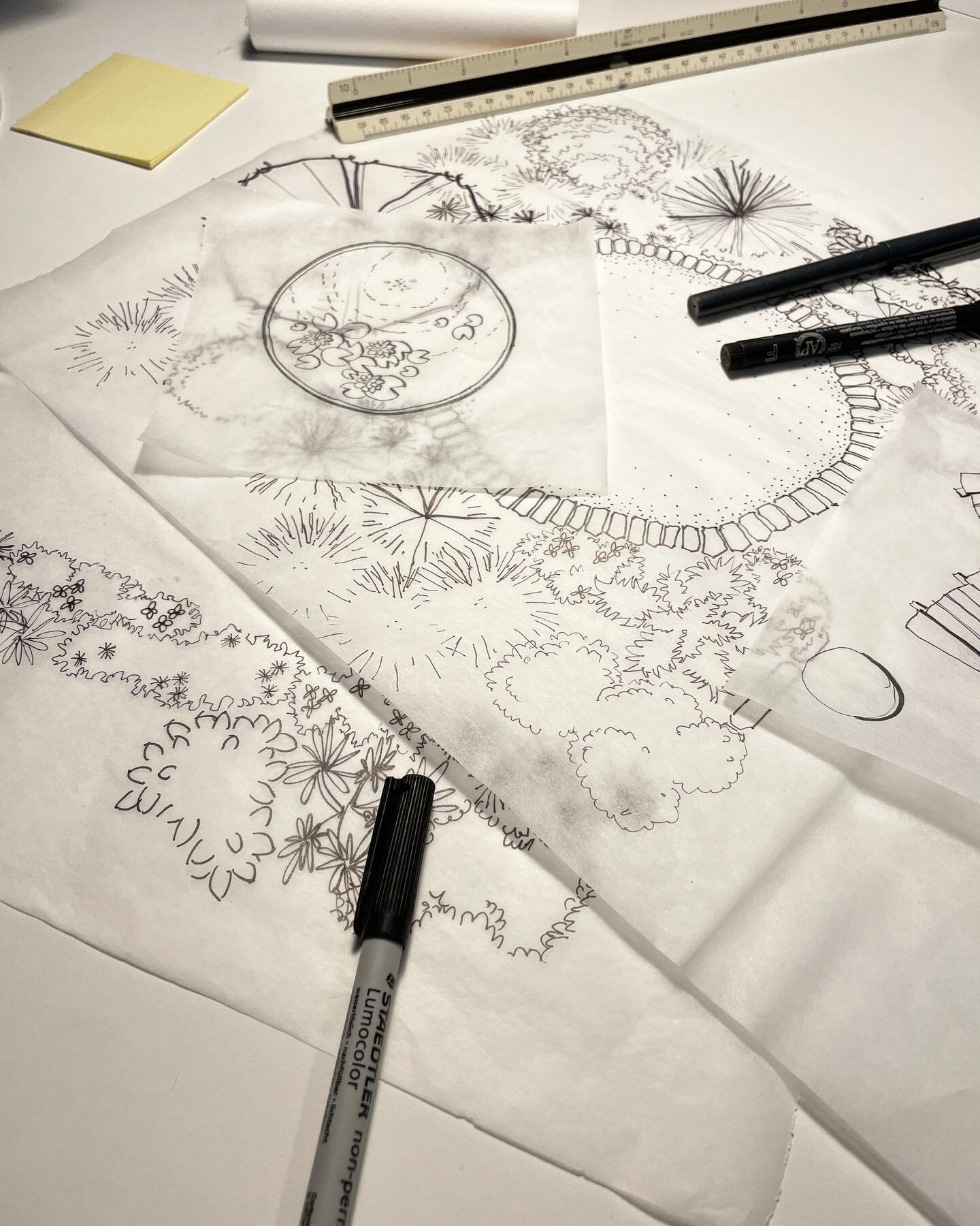 🌧️ Rainy days are great for plants, and for sketch sessions! 🌧️ 🌱 

#handdrawing 
#landscapedesign 
#atxlandscape 
#rainydaysketch
