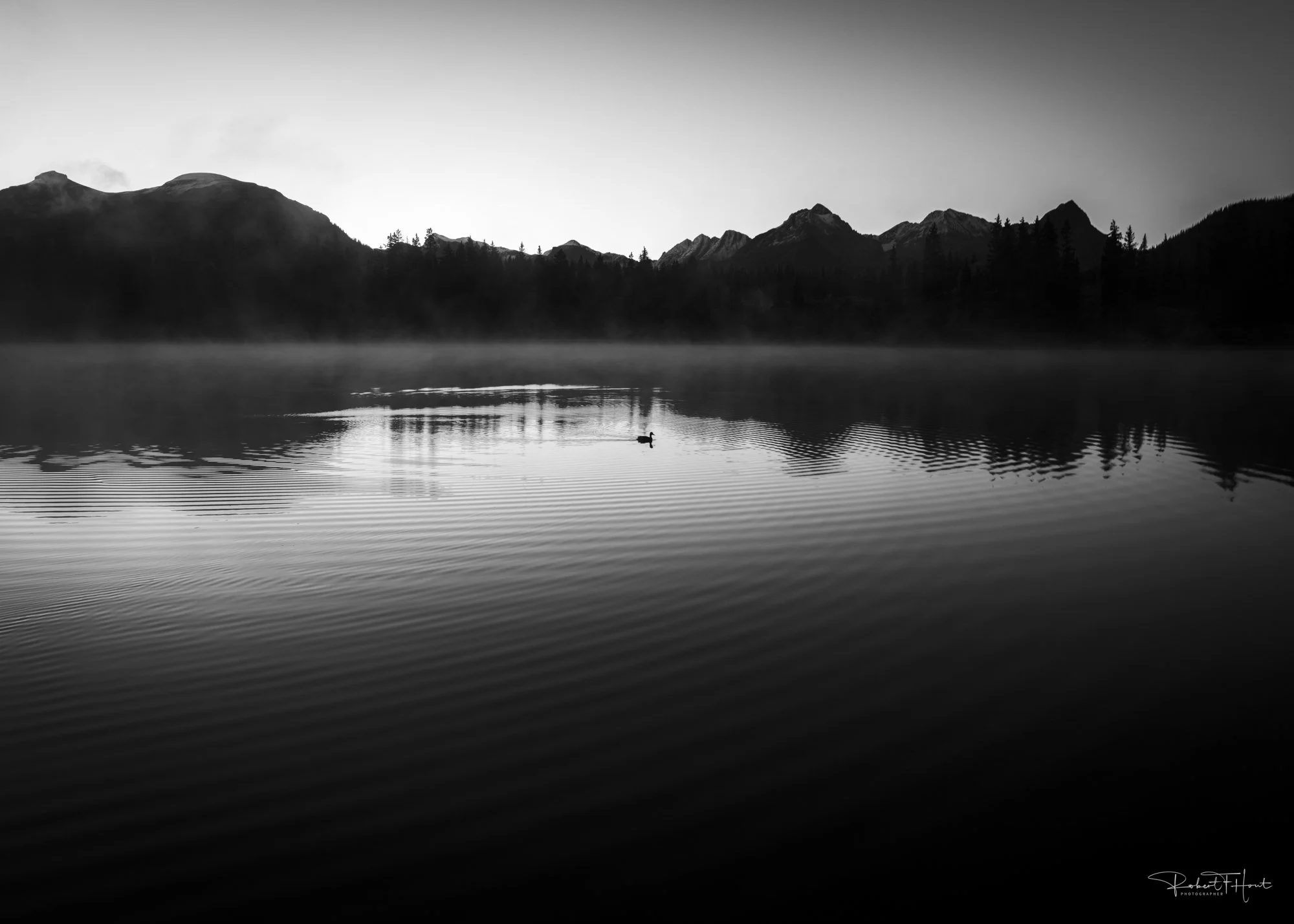 L1000159.jpg