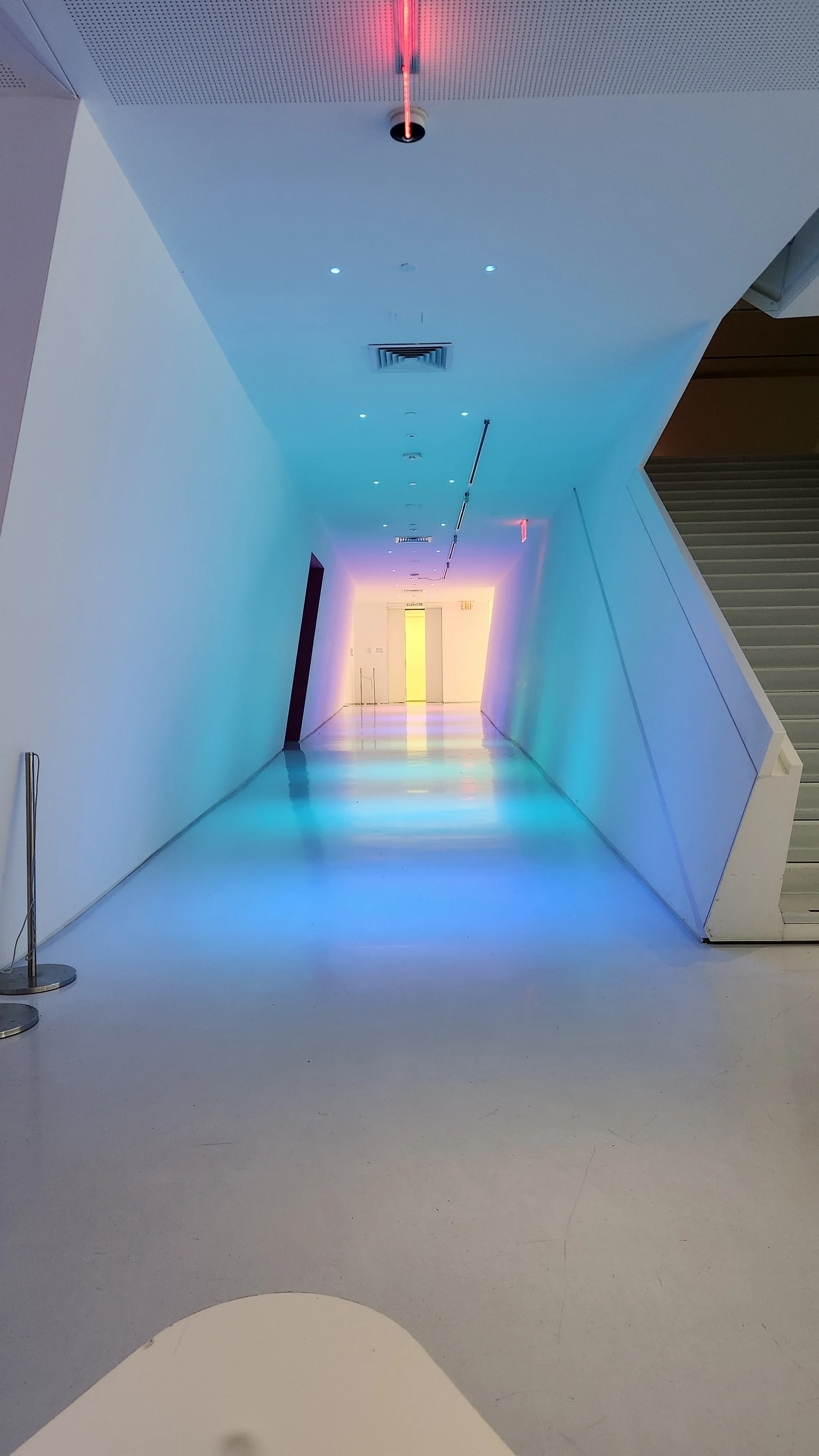 Quincy x Museum of the Moving Image (MOMI)