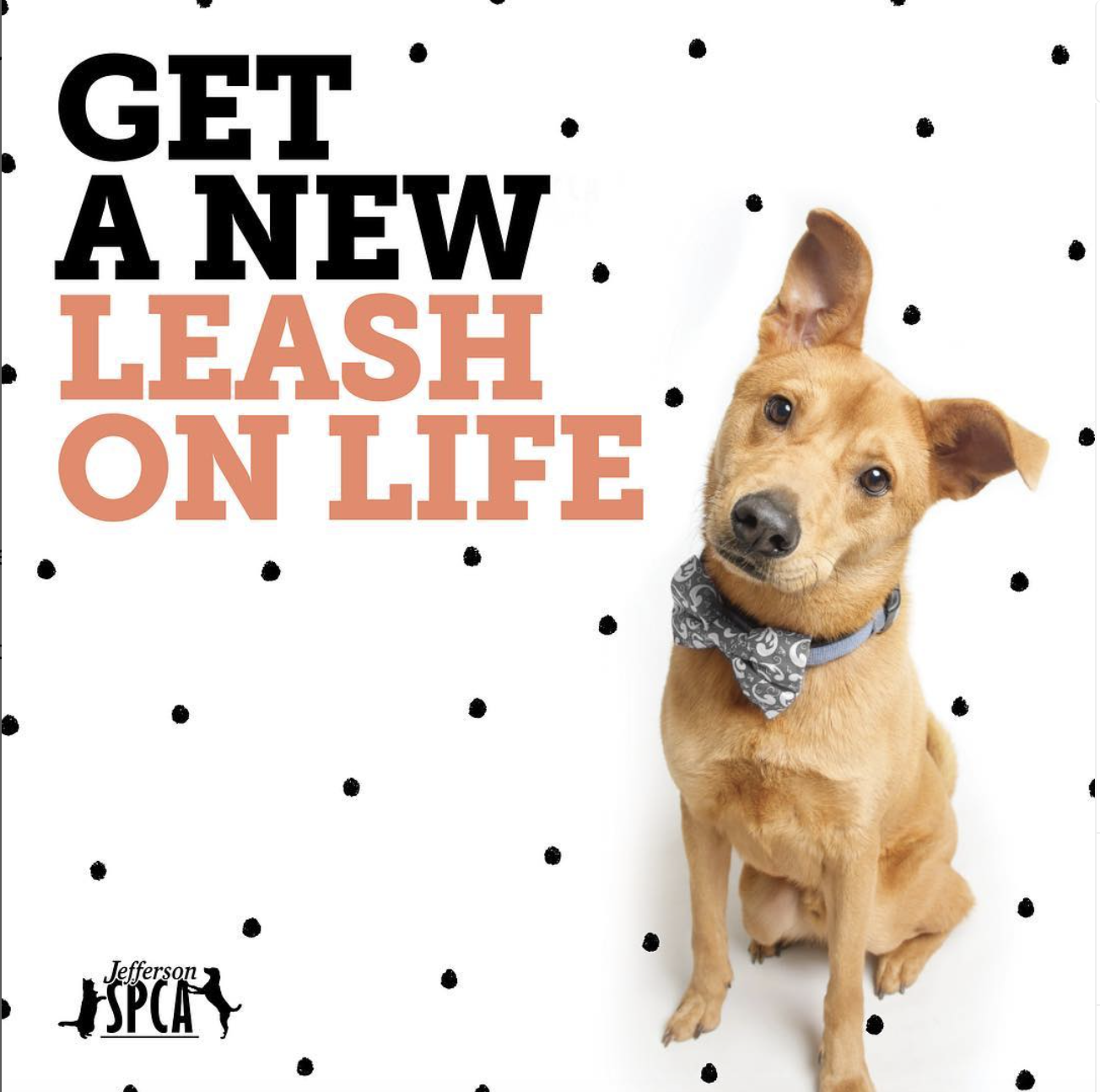 Screenshot 2023-10-12 at 1.04.27 PM.png