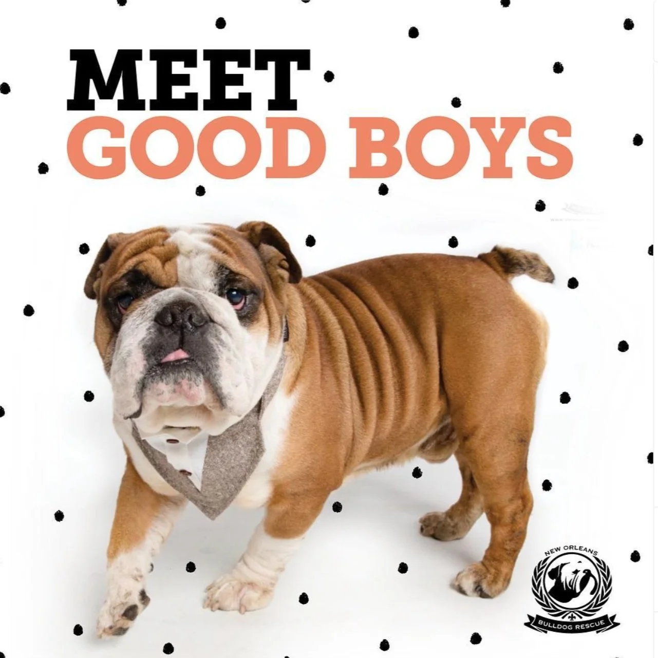 Screenshot 2023-10-12 at 1.26.04 PM.jpg