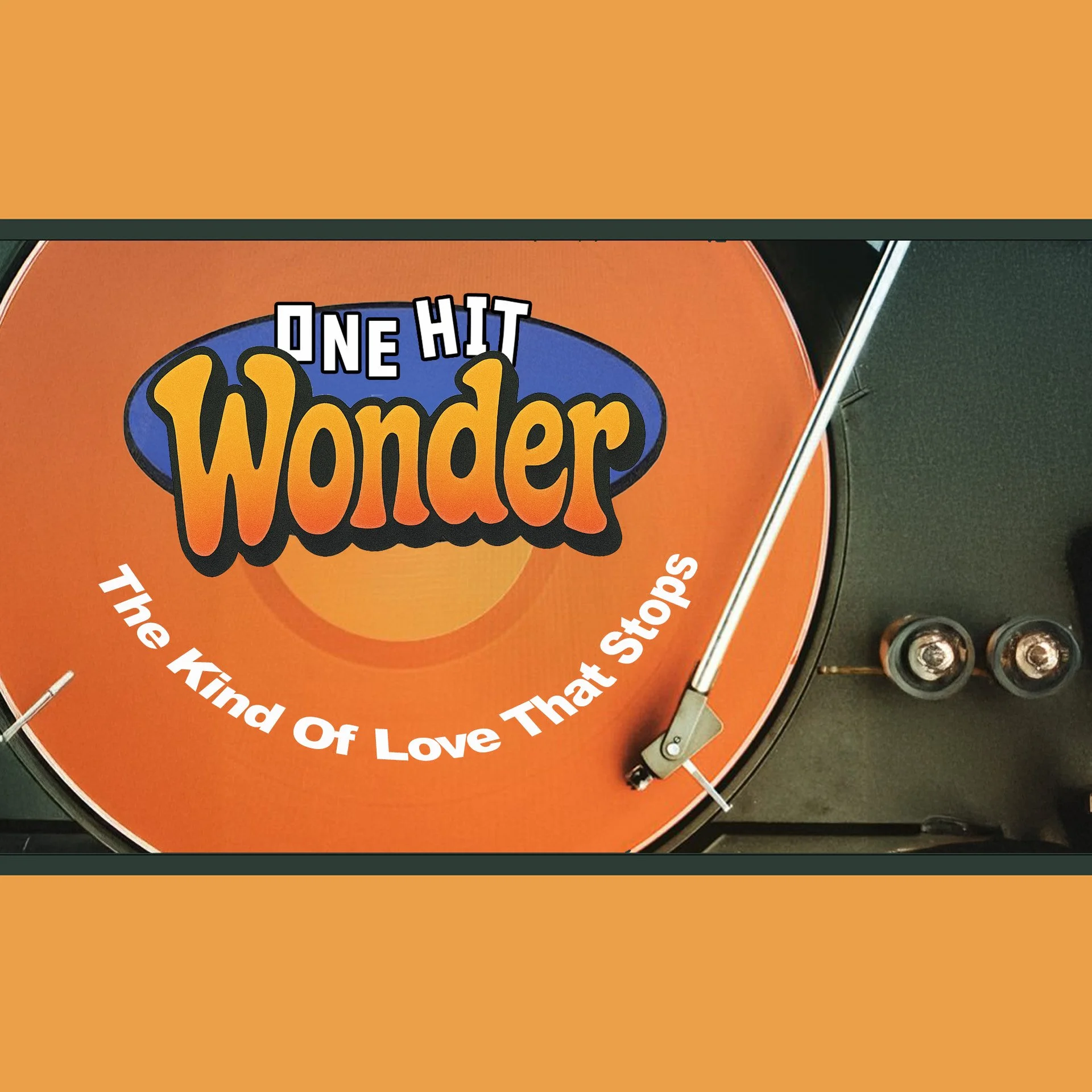 THE KIND OF LOVE THAT STOPS