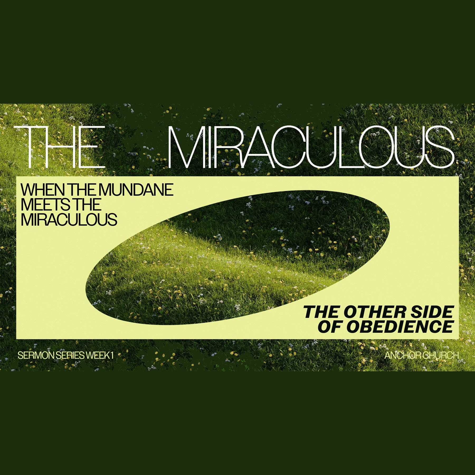 THE MIRACULOUS:&nbsp; When the Mundane Meets the Miraculous Part 1